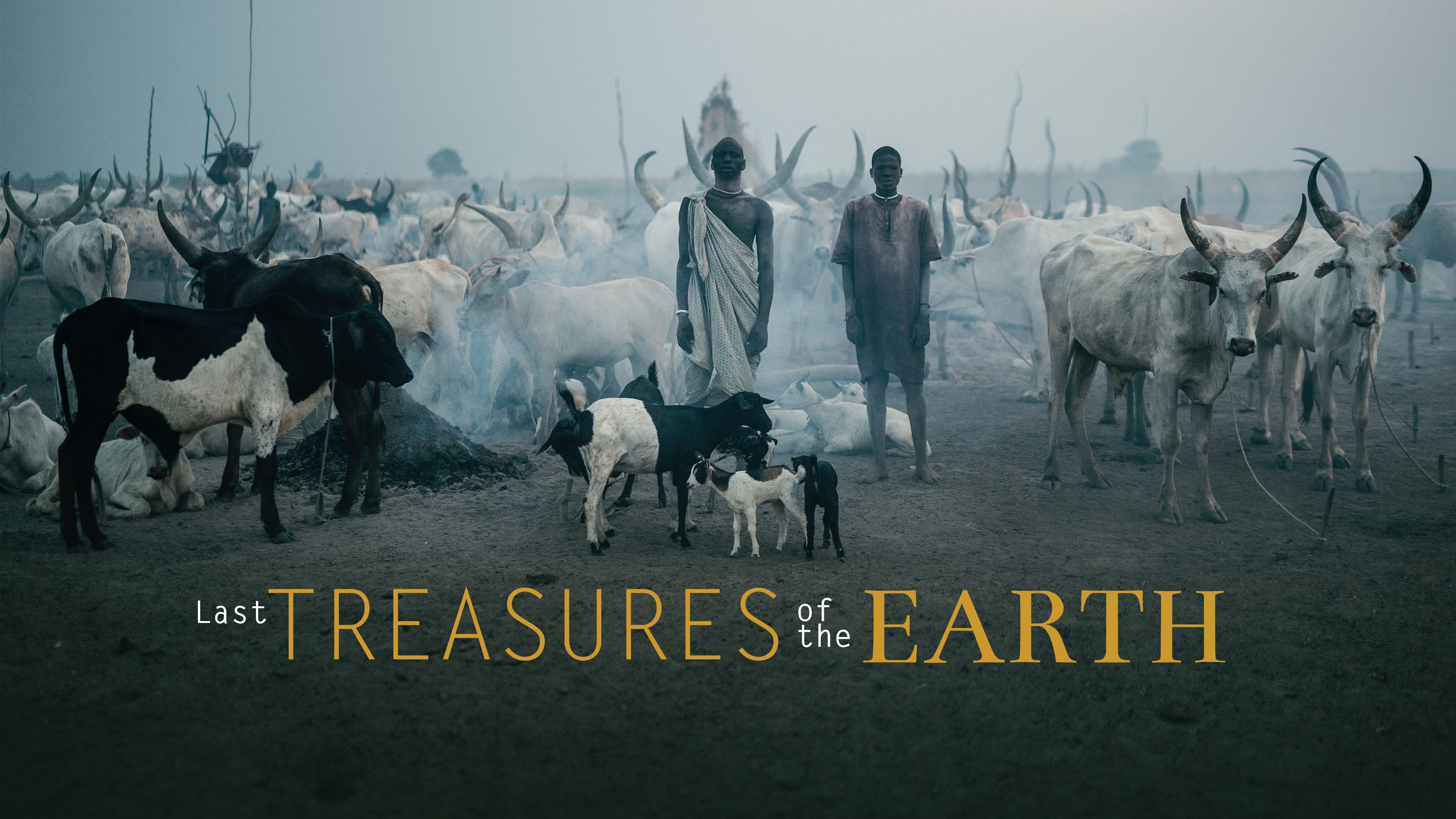 Last Treasures of the Earth