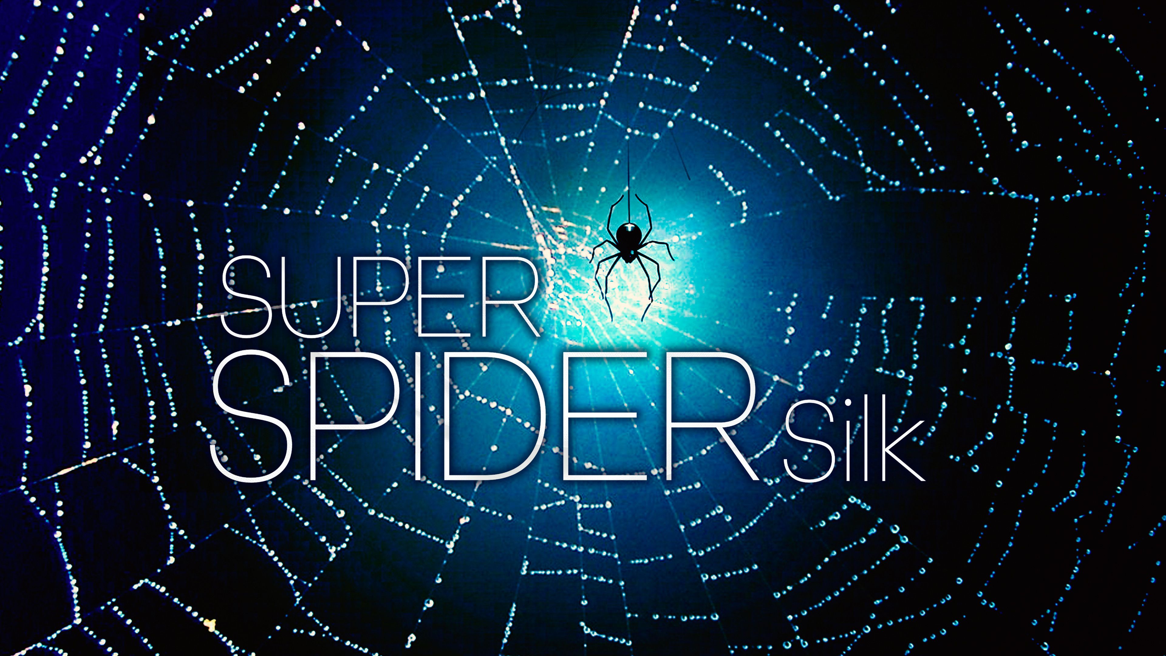 Super Spider Silk