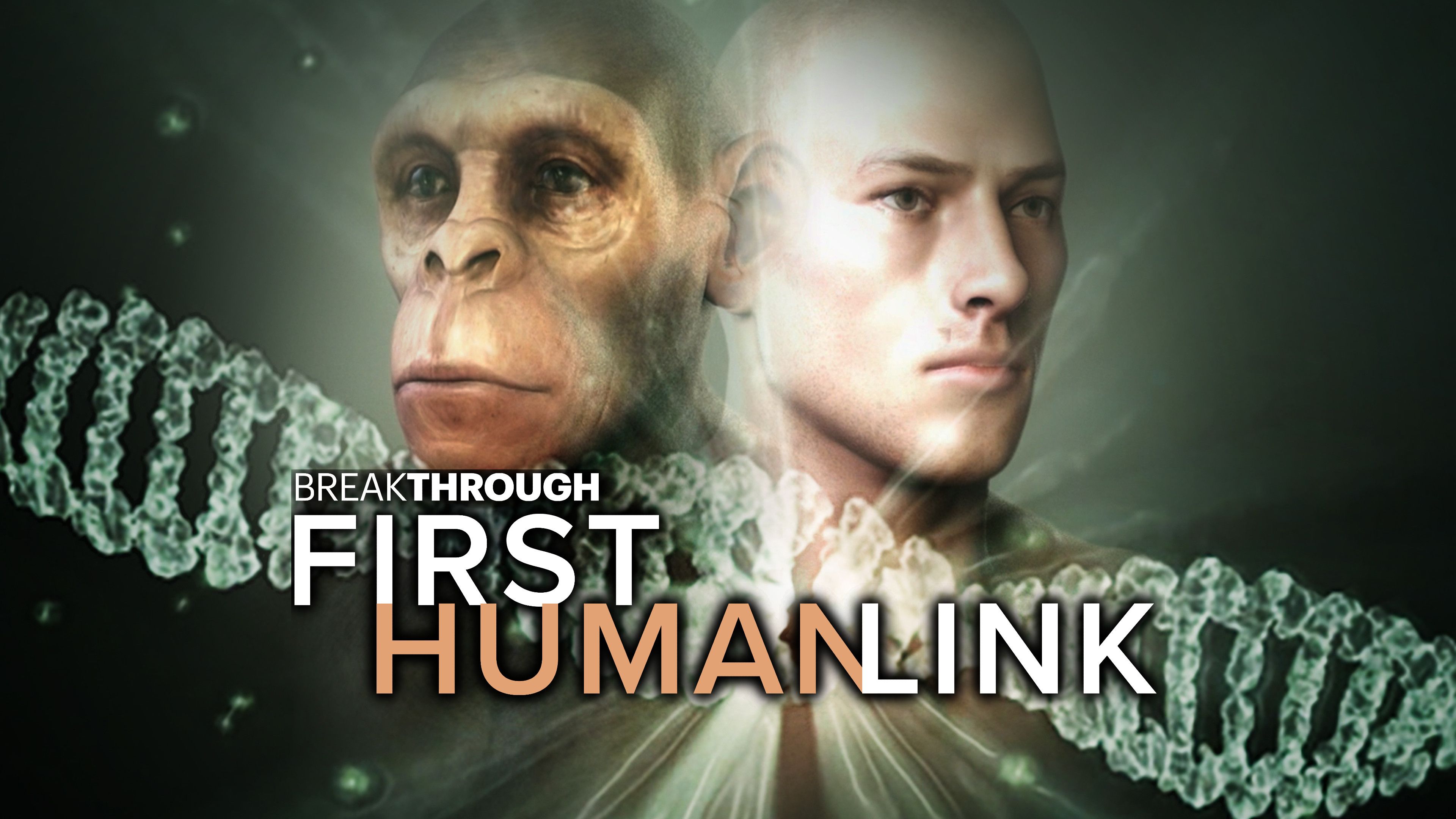 First Human Link
