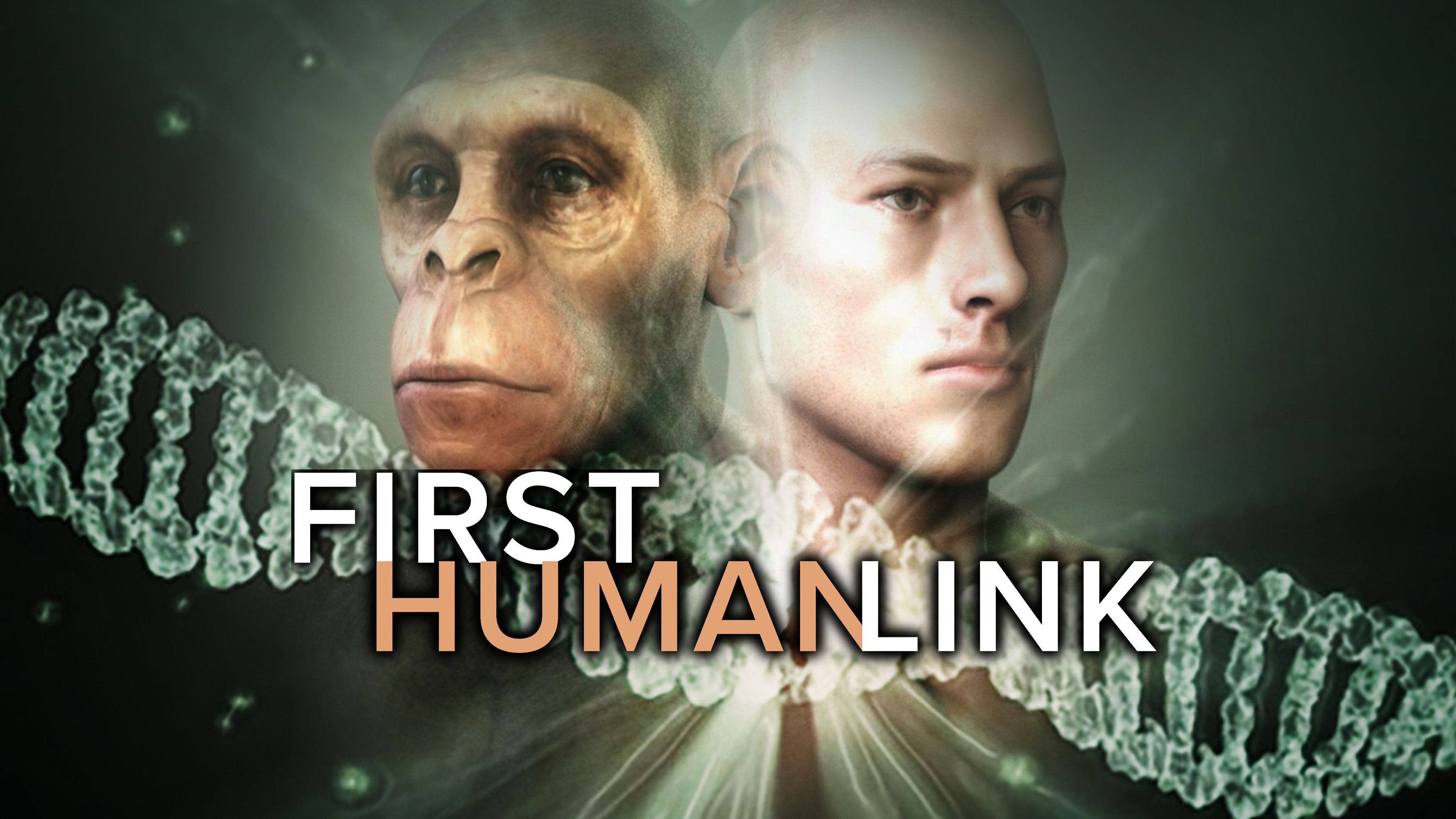 First Human Link