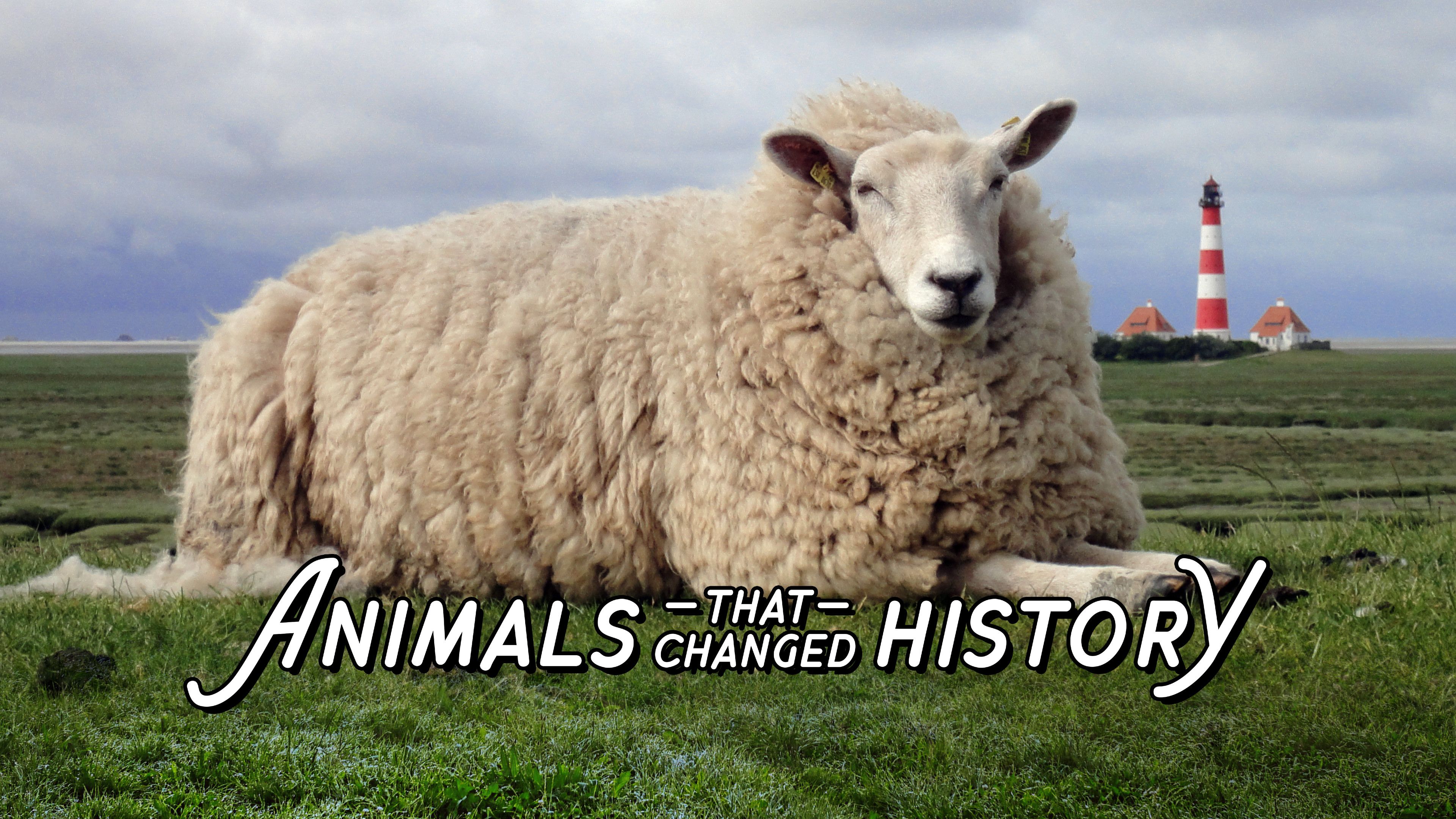 Animals That Changed History