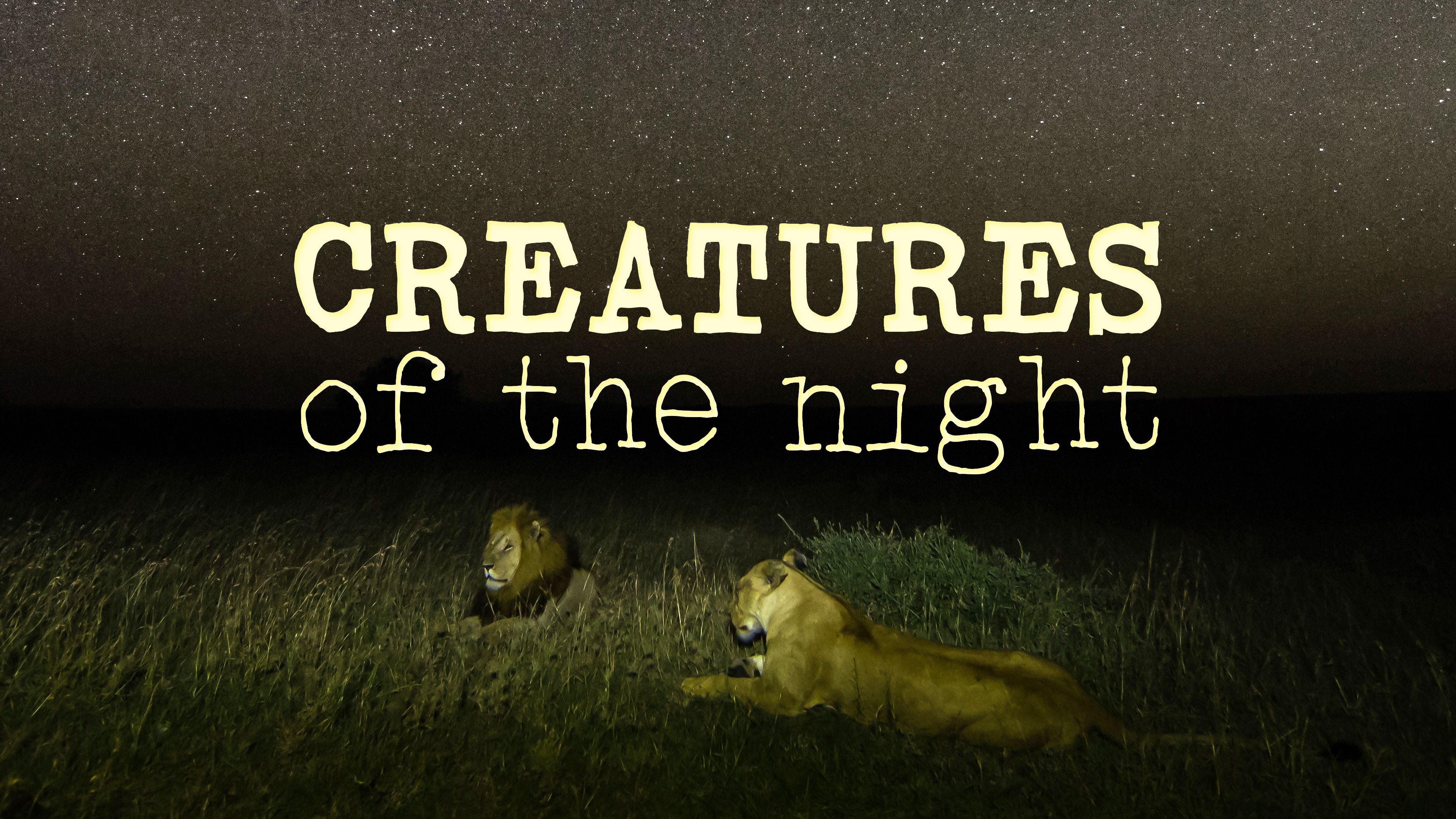 Creatures Of The Night
