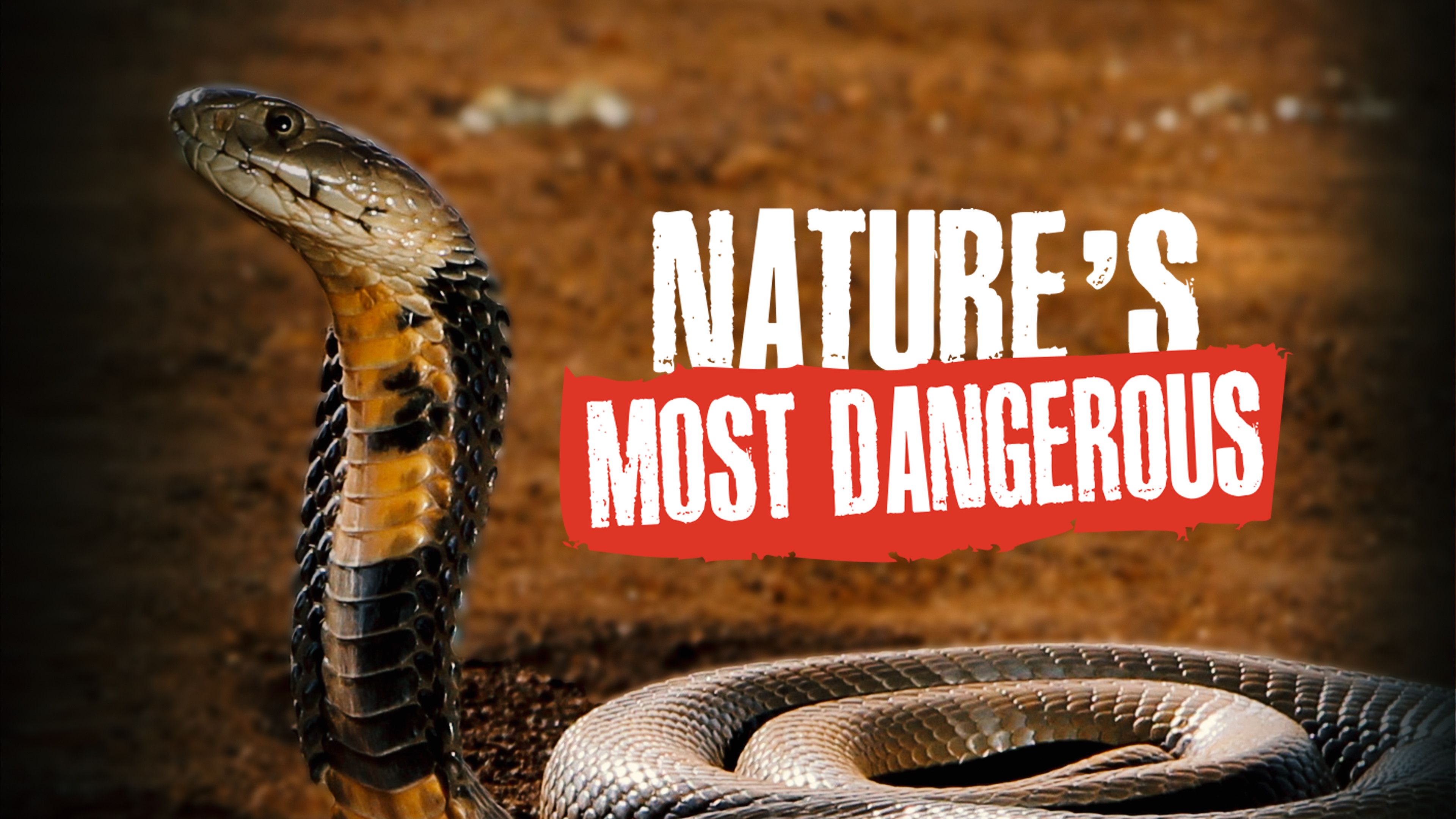 Nature’s Most Dangerous