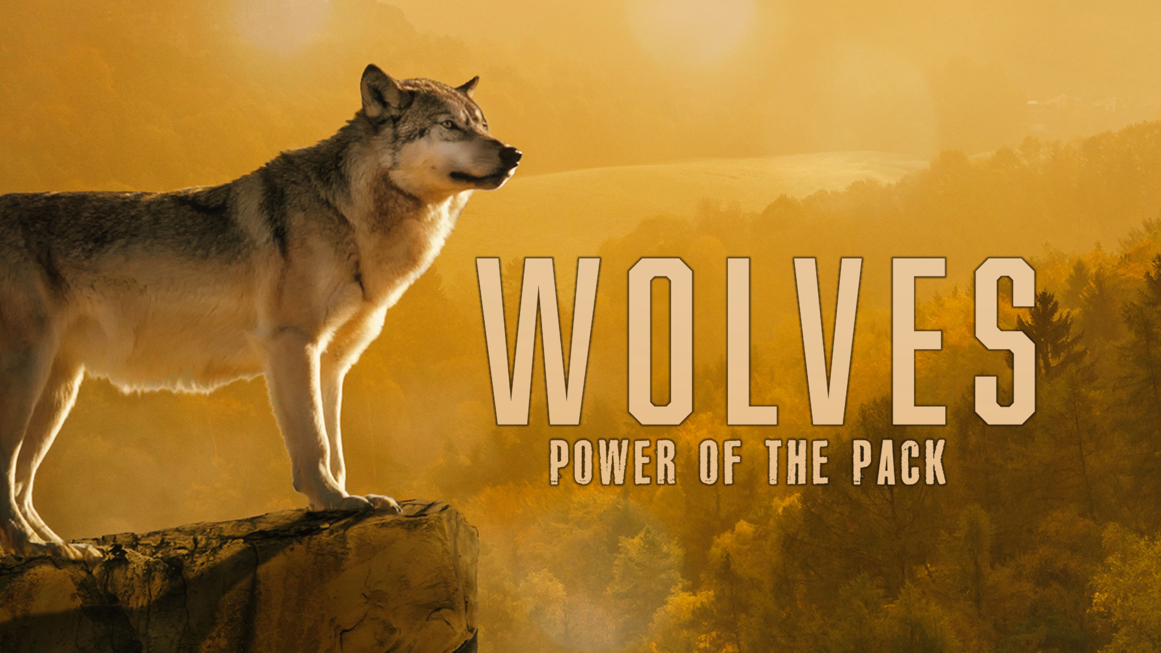 Wolves - Power of the Pack
