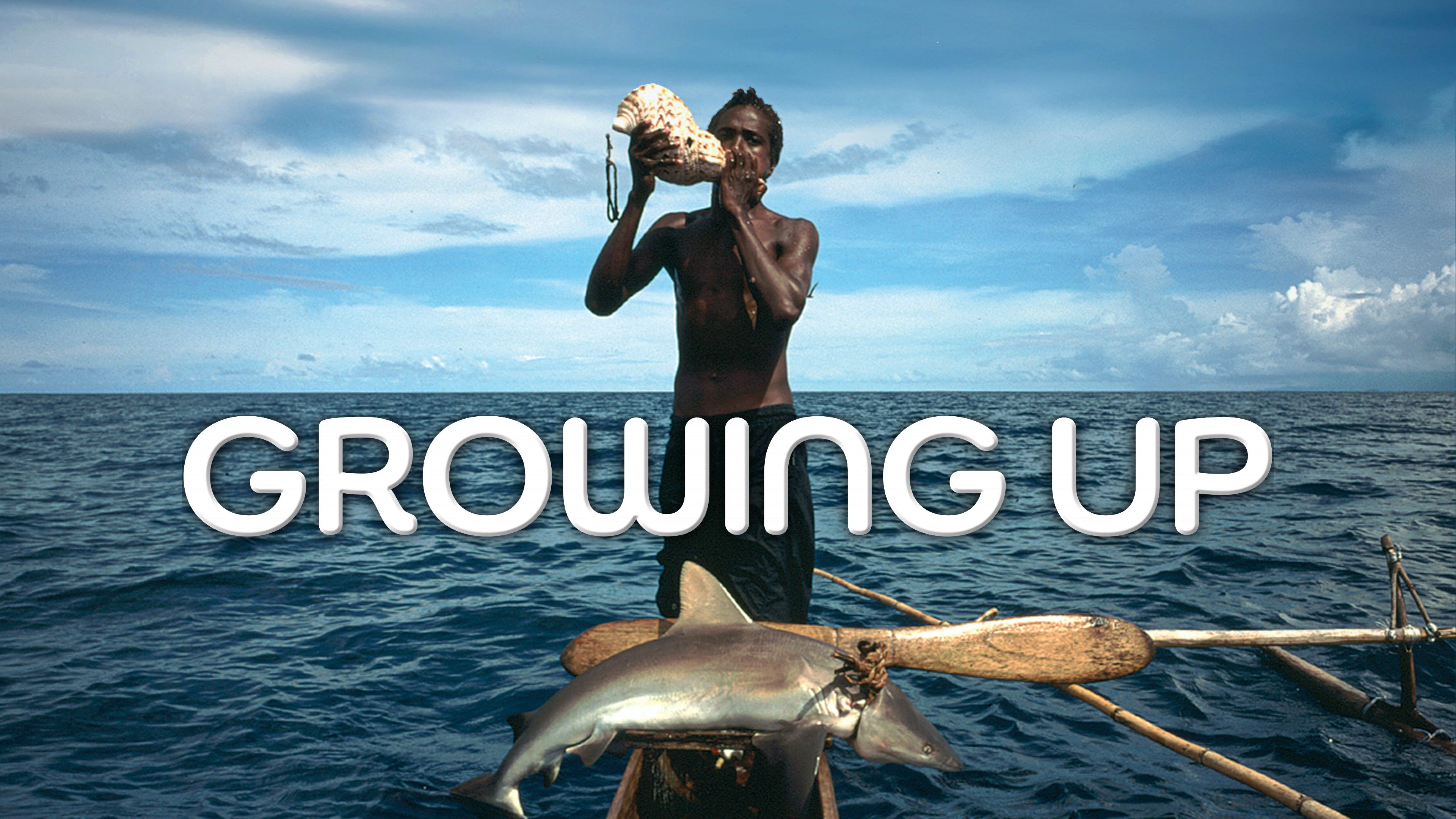 Shark Hunter