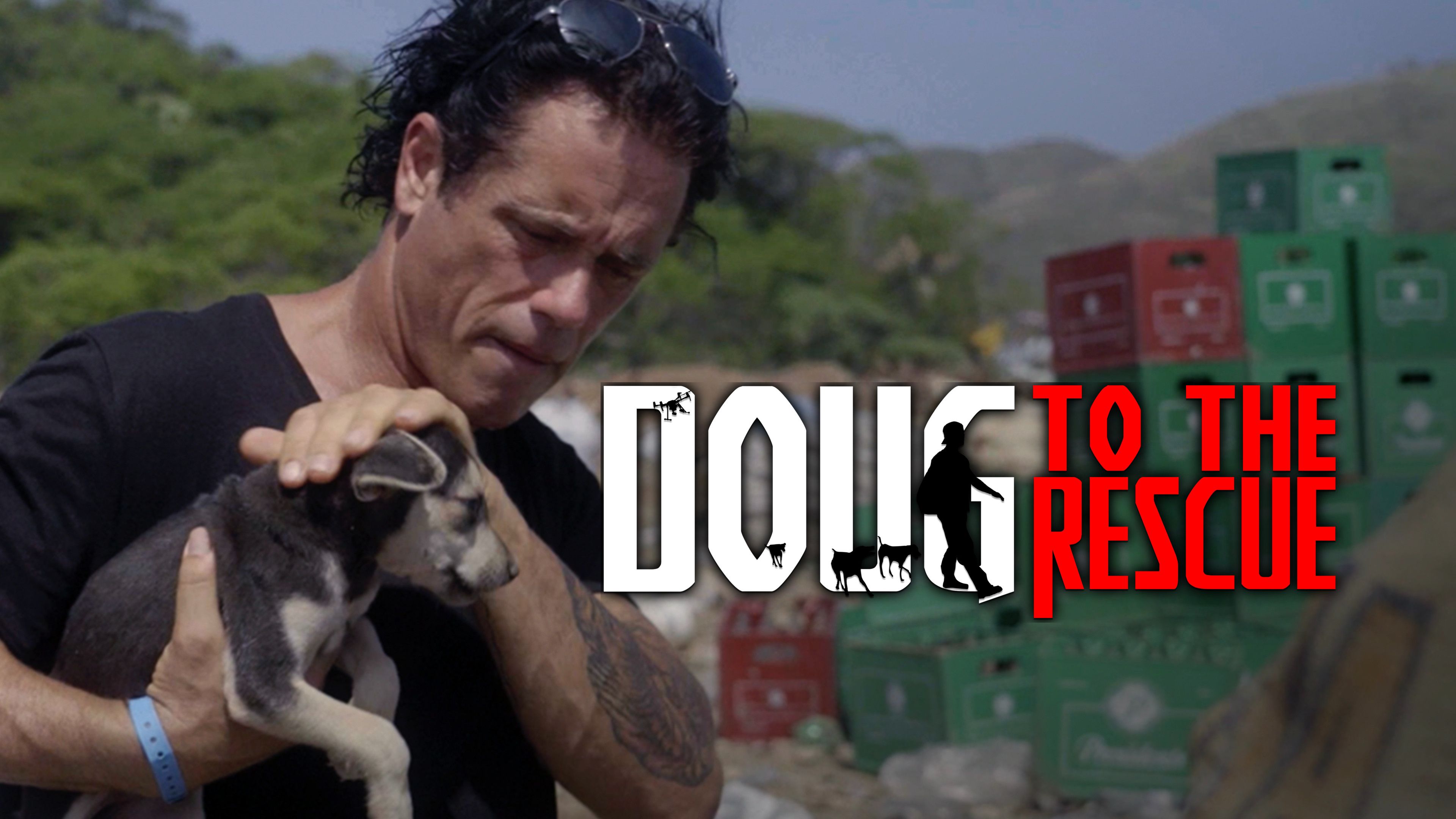 Island Dogs