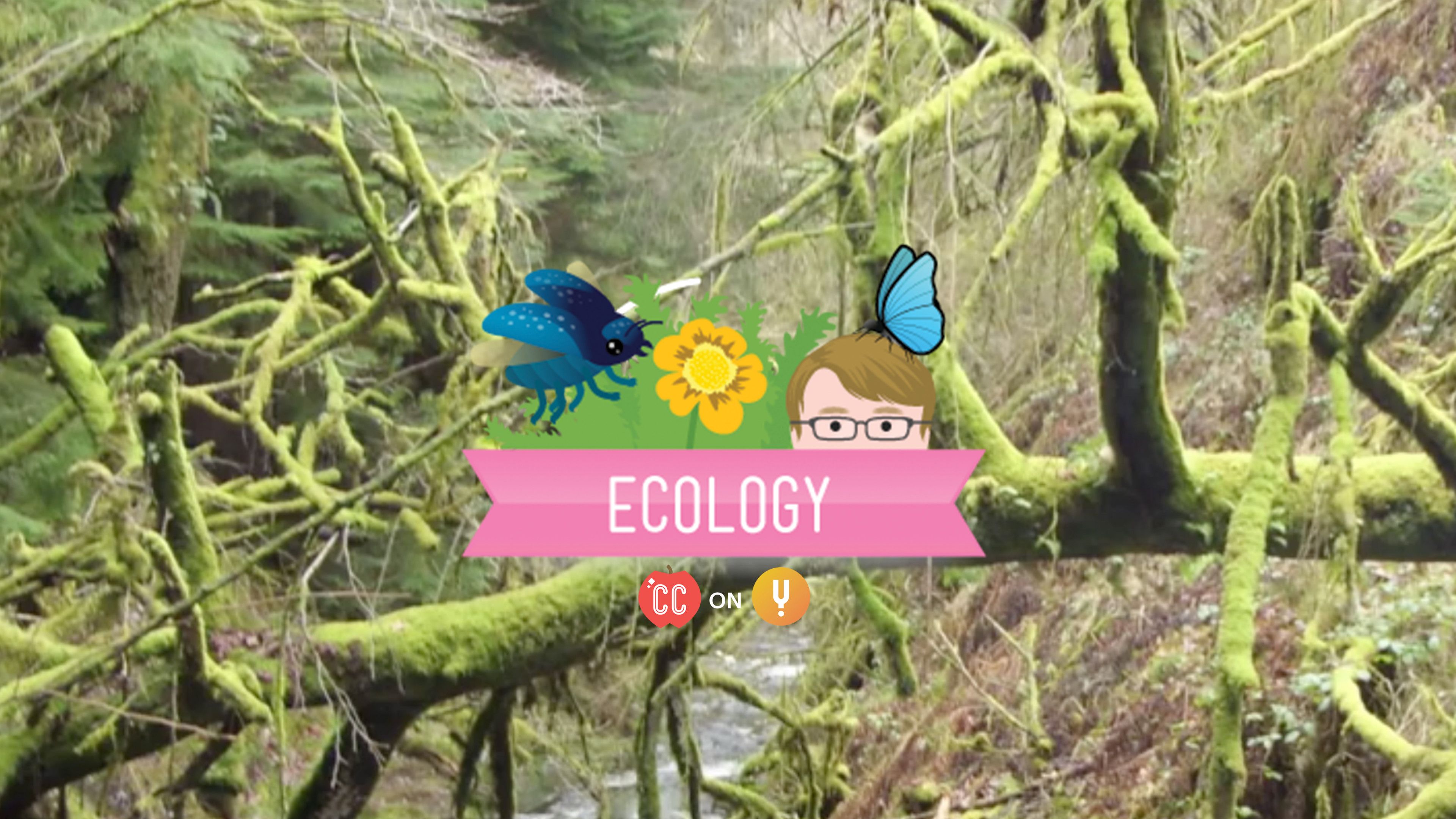 curiosity-stream-ecological-succession-change-is-good-crash-course