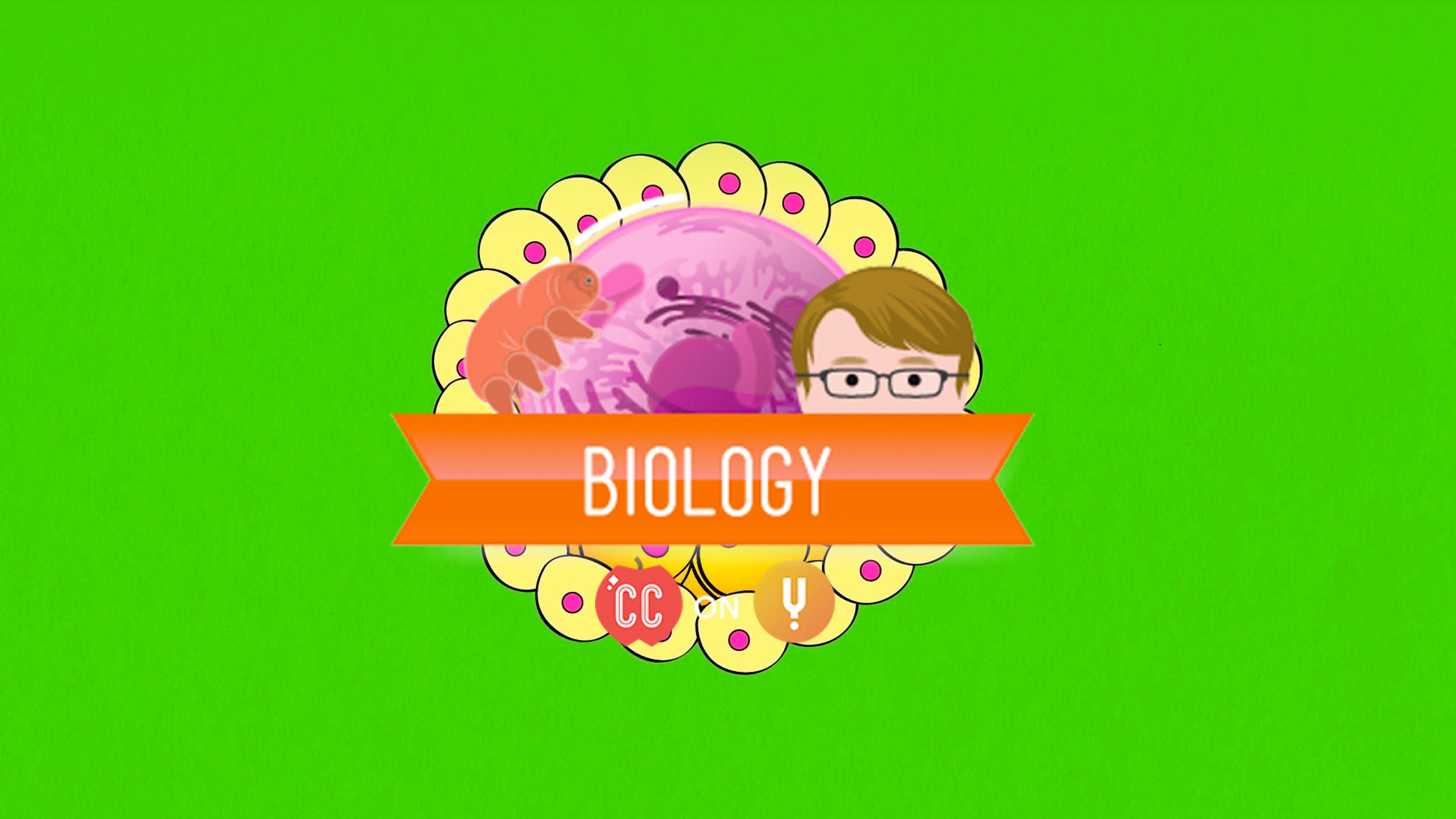 Curiosity Stream - Animal Development: We're Just Tubes - Crash Course  Biology #16