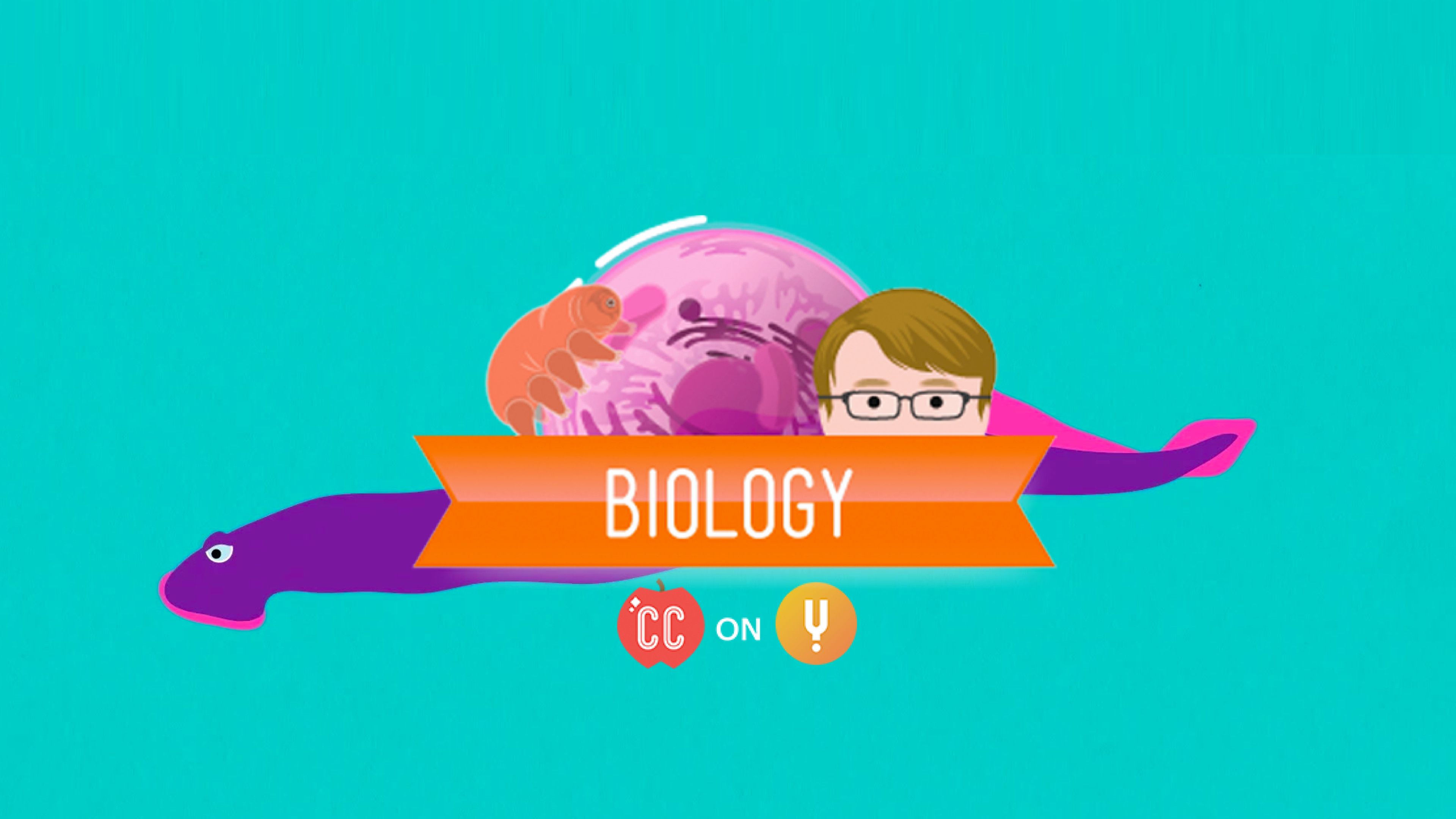 Curiosity Stream - Chordates - CrashCourse Biology #24