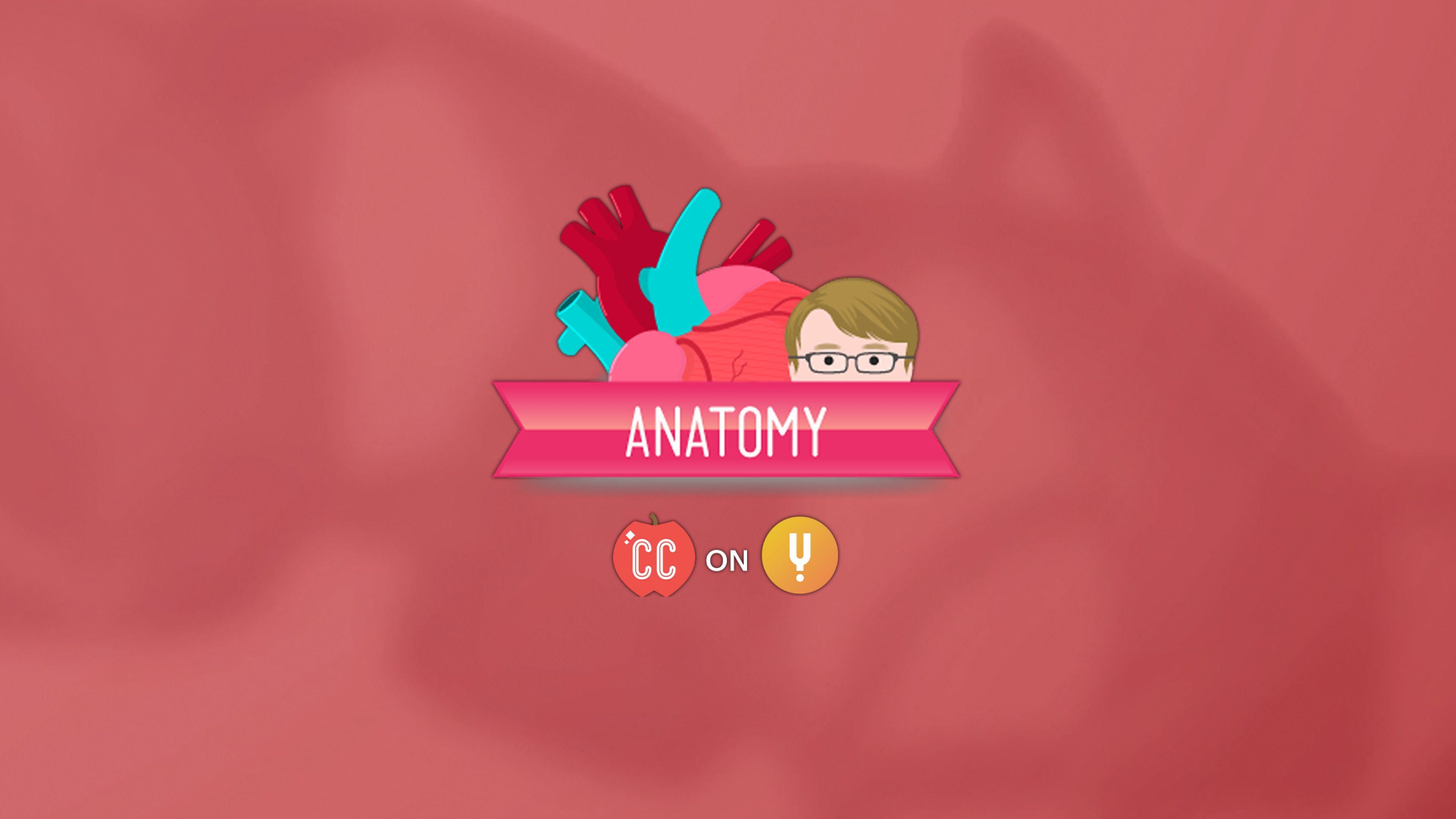 Endocrine System Part 1 Glands Hormones Crash Course vrogue.co