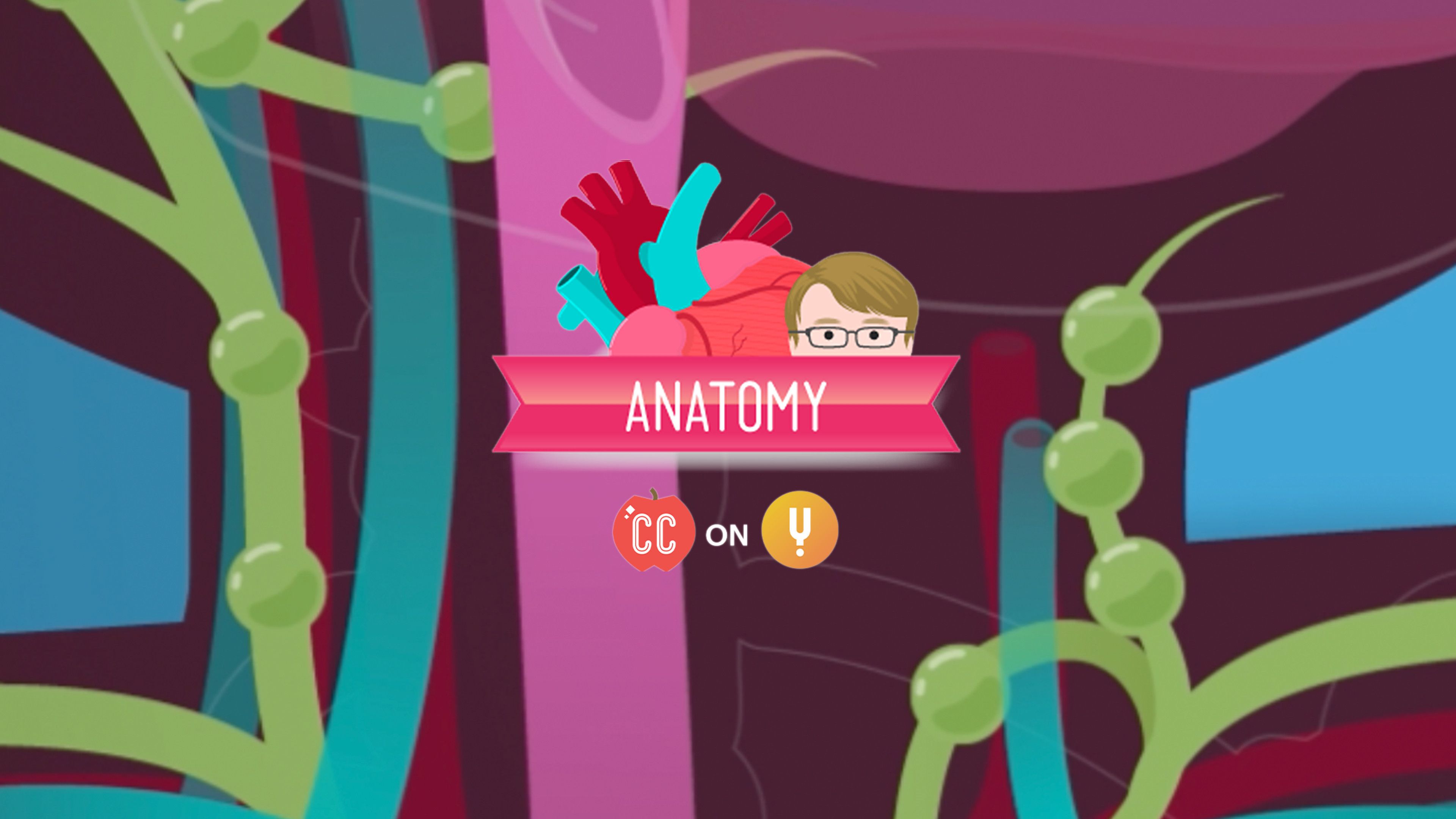 Curiosity Stream Lymphatic System Crash Course A&P 44