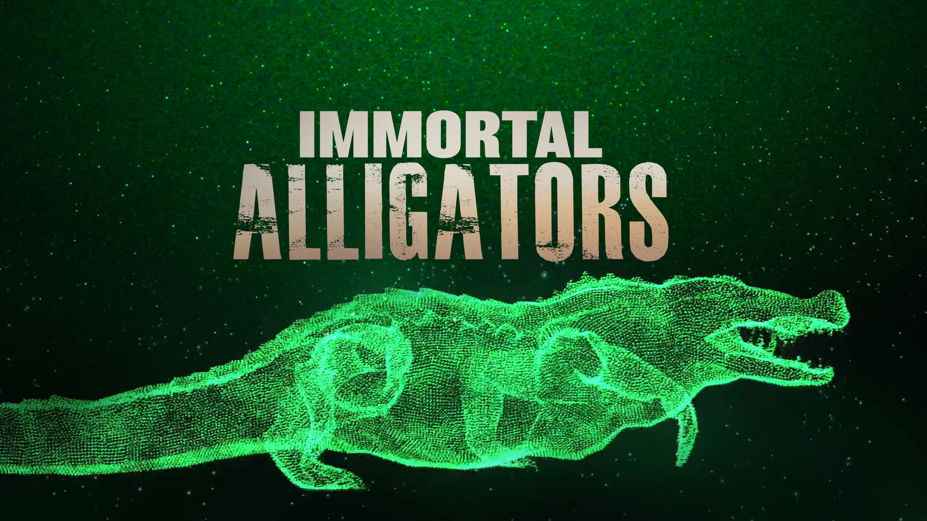 Immortal Alligators
