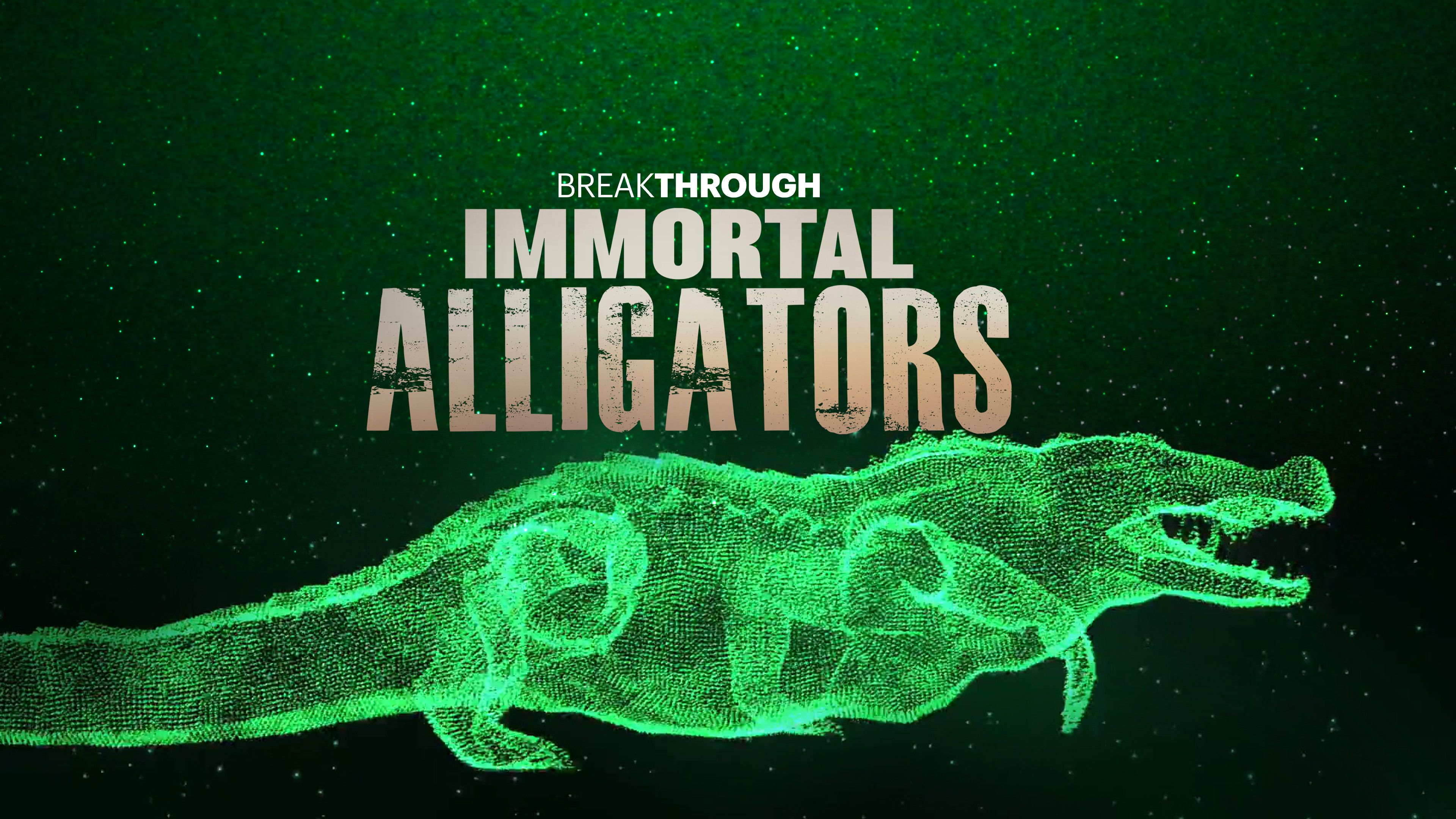 Immortal Alligators