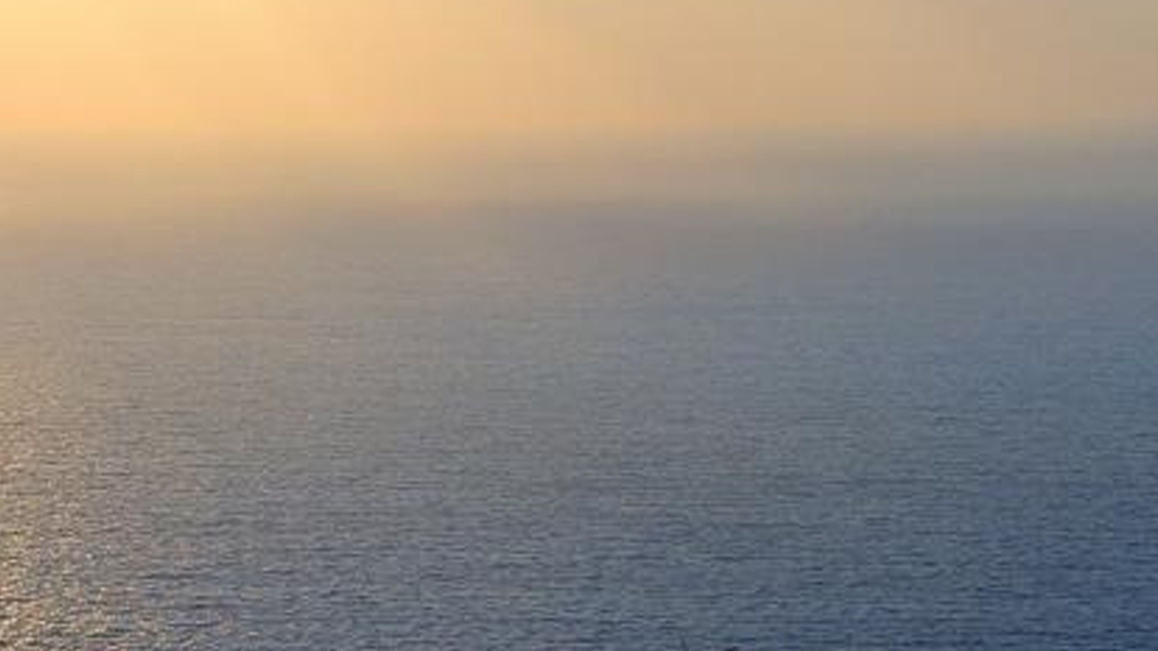 What Is The Sargasso Sea Alliance?