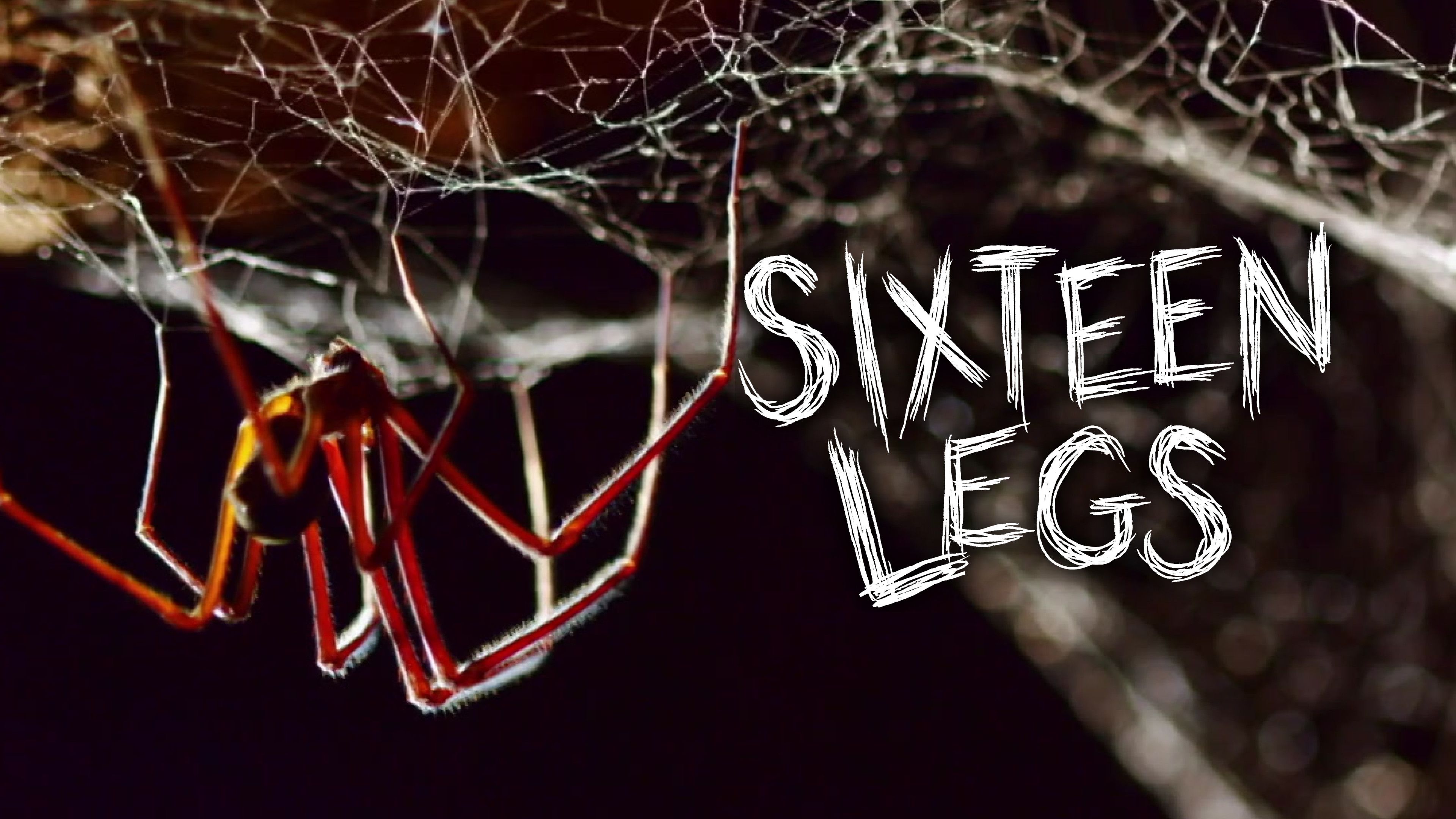 Prehistoric Spider Sex