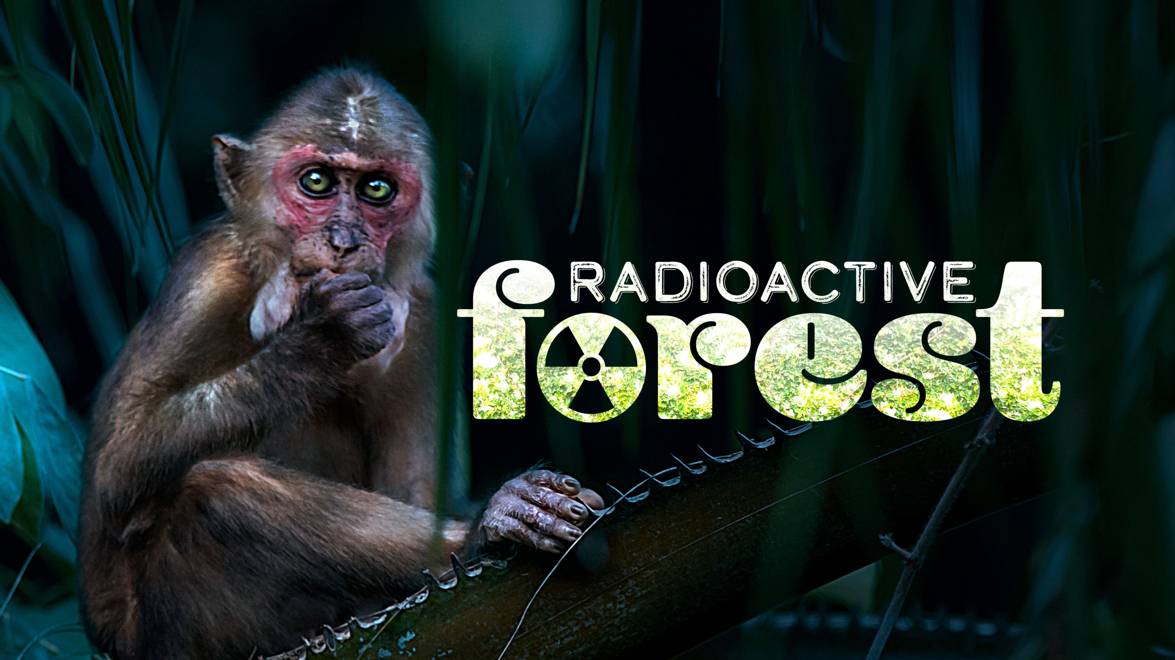 Radioactive Forest - 10 Years After