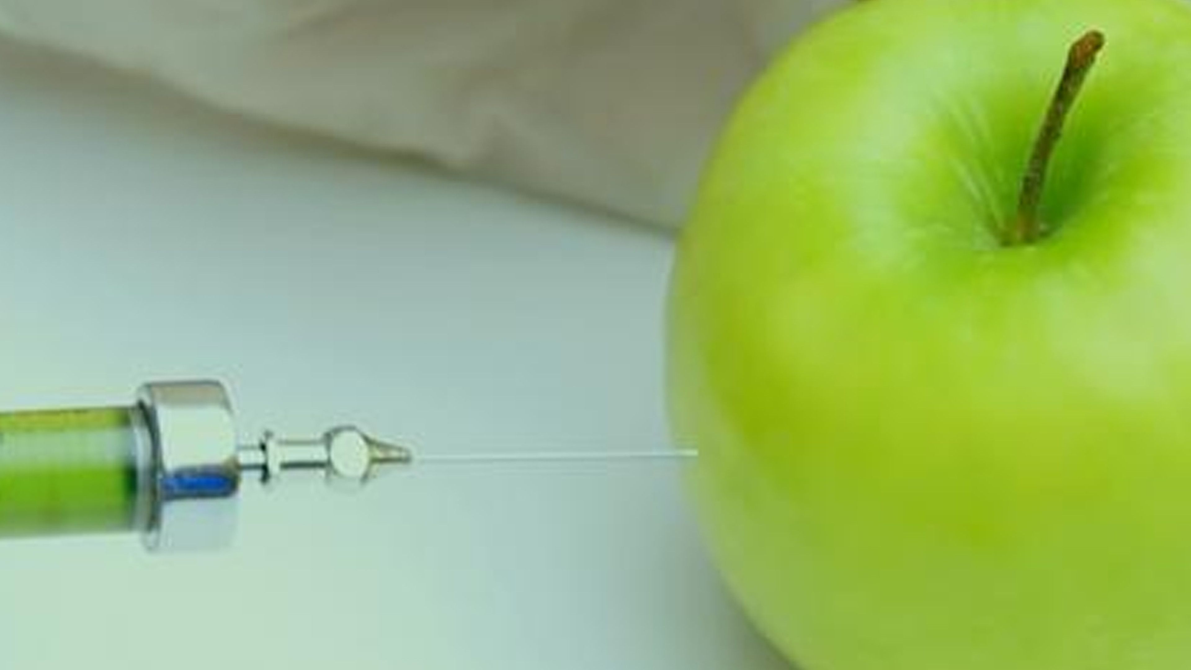 Genetically Modified Foods
