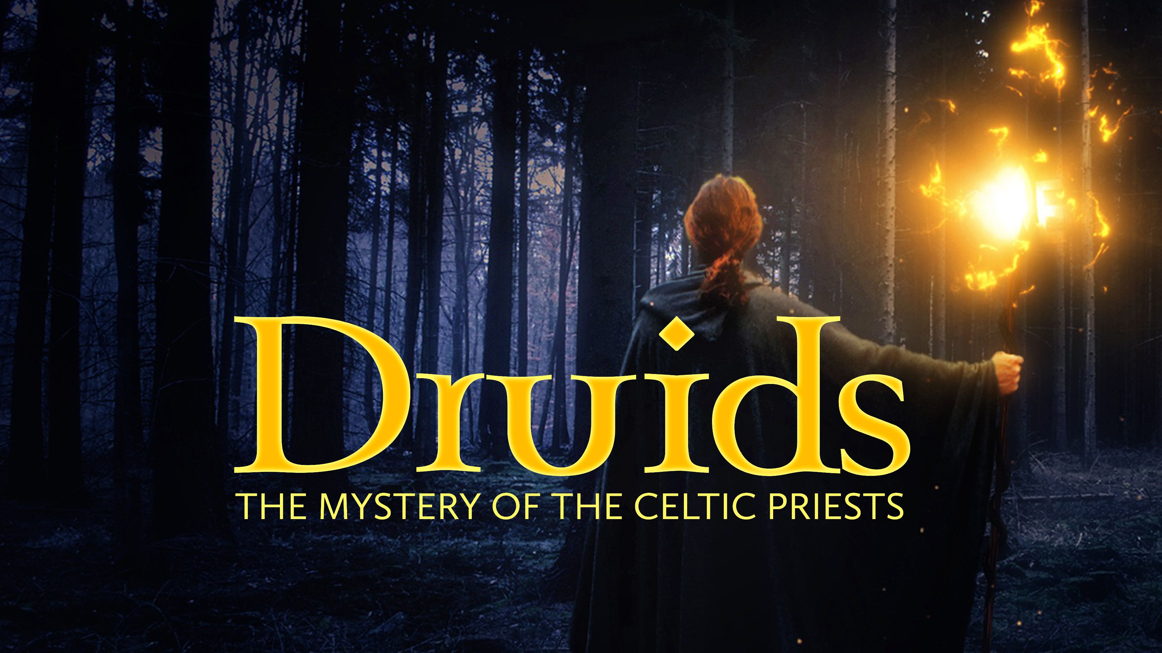 Druids - The Mystery of Celtic Priests