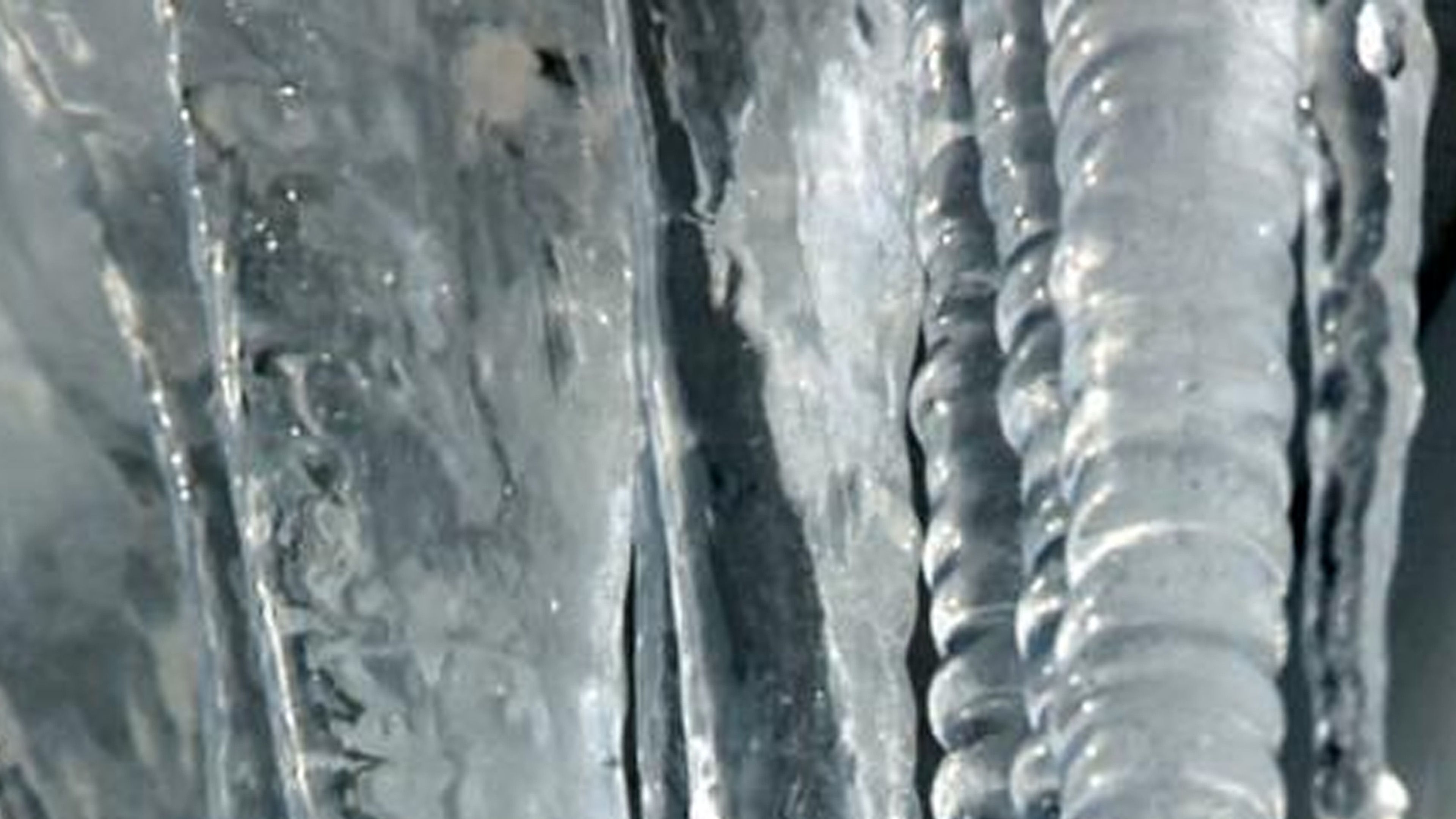 The Truth About The Polar Vortex