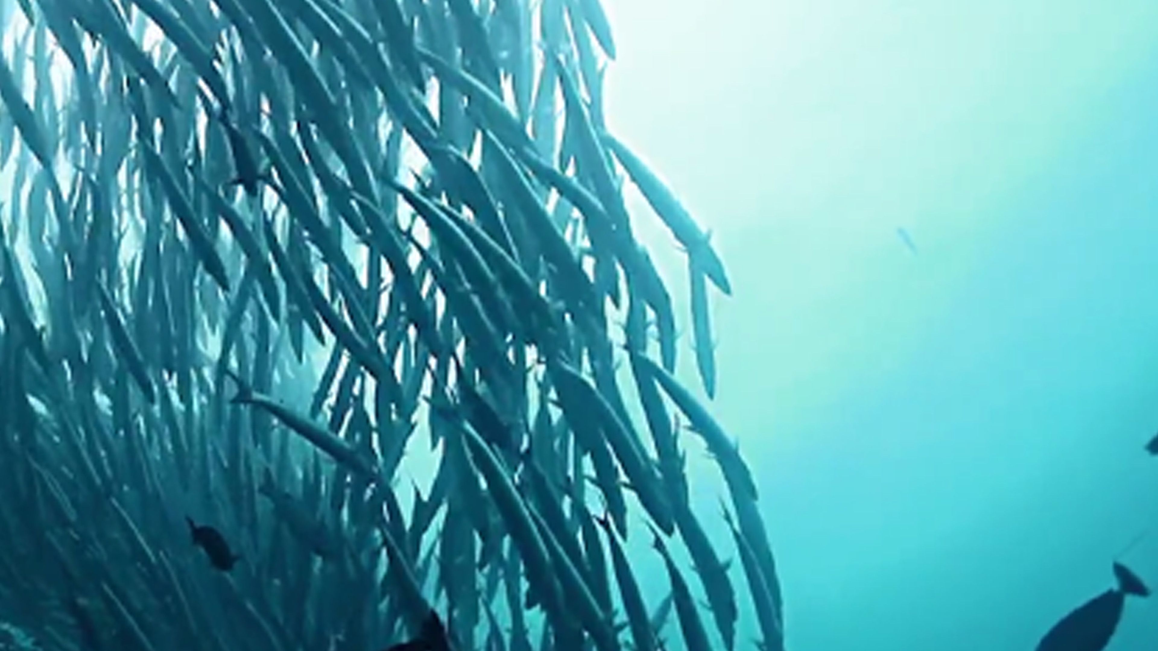 Balancing Biodiversity: Population Growth
