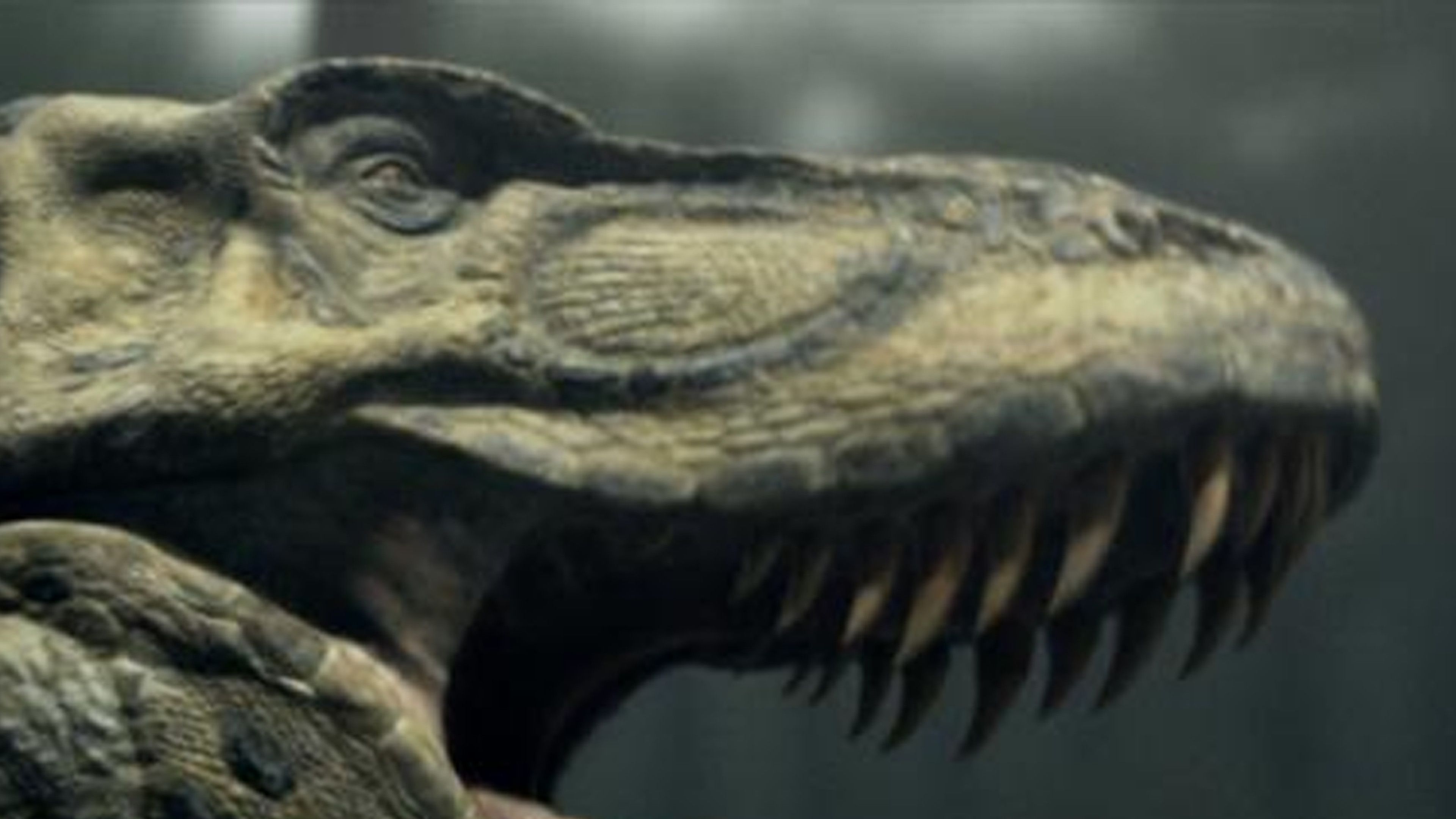 T-Rex: Last Of The Giants