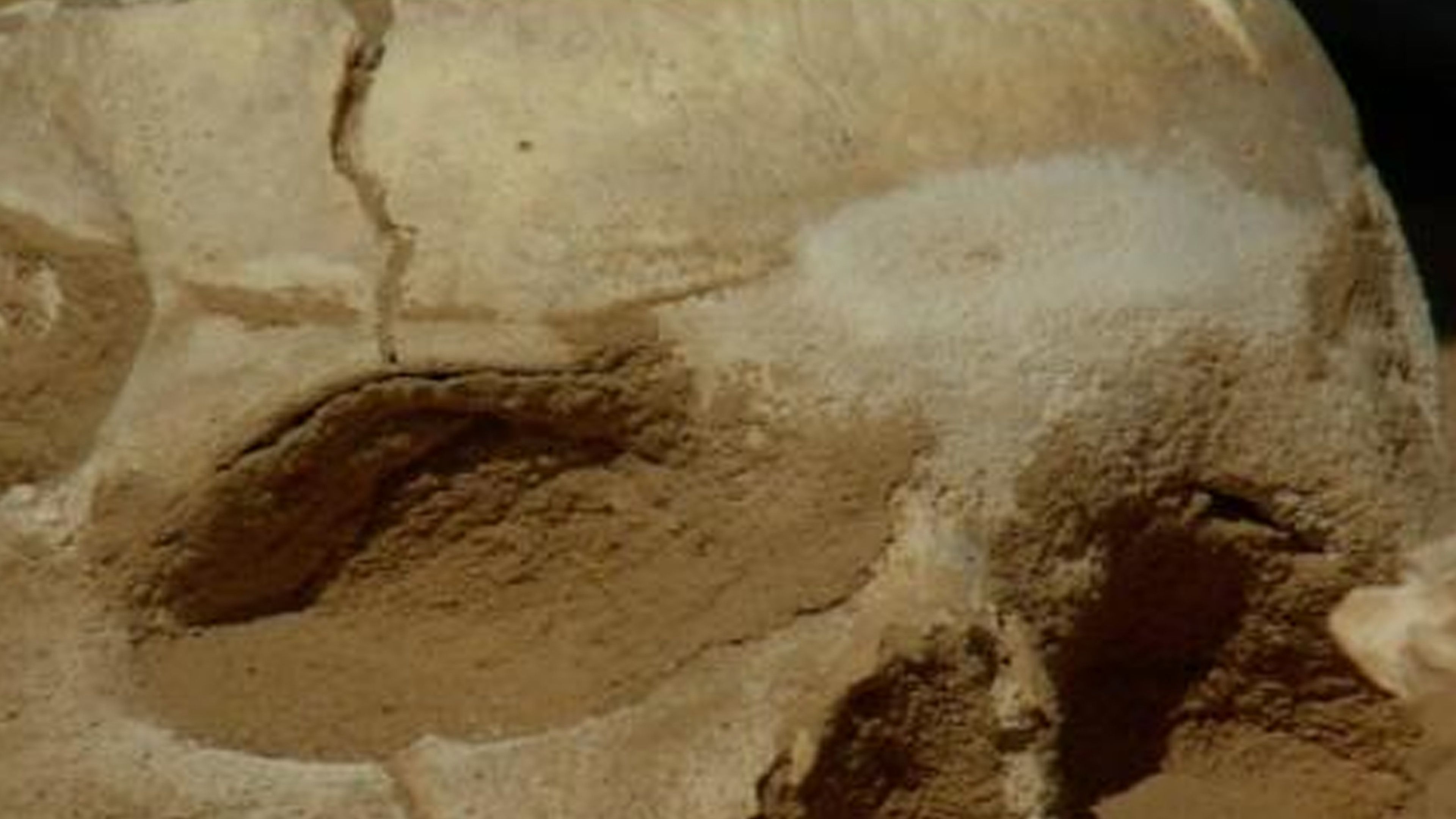 Life Of An Archaeologist