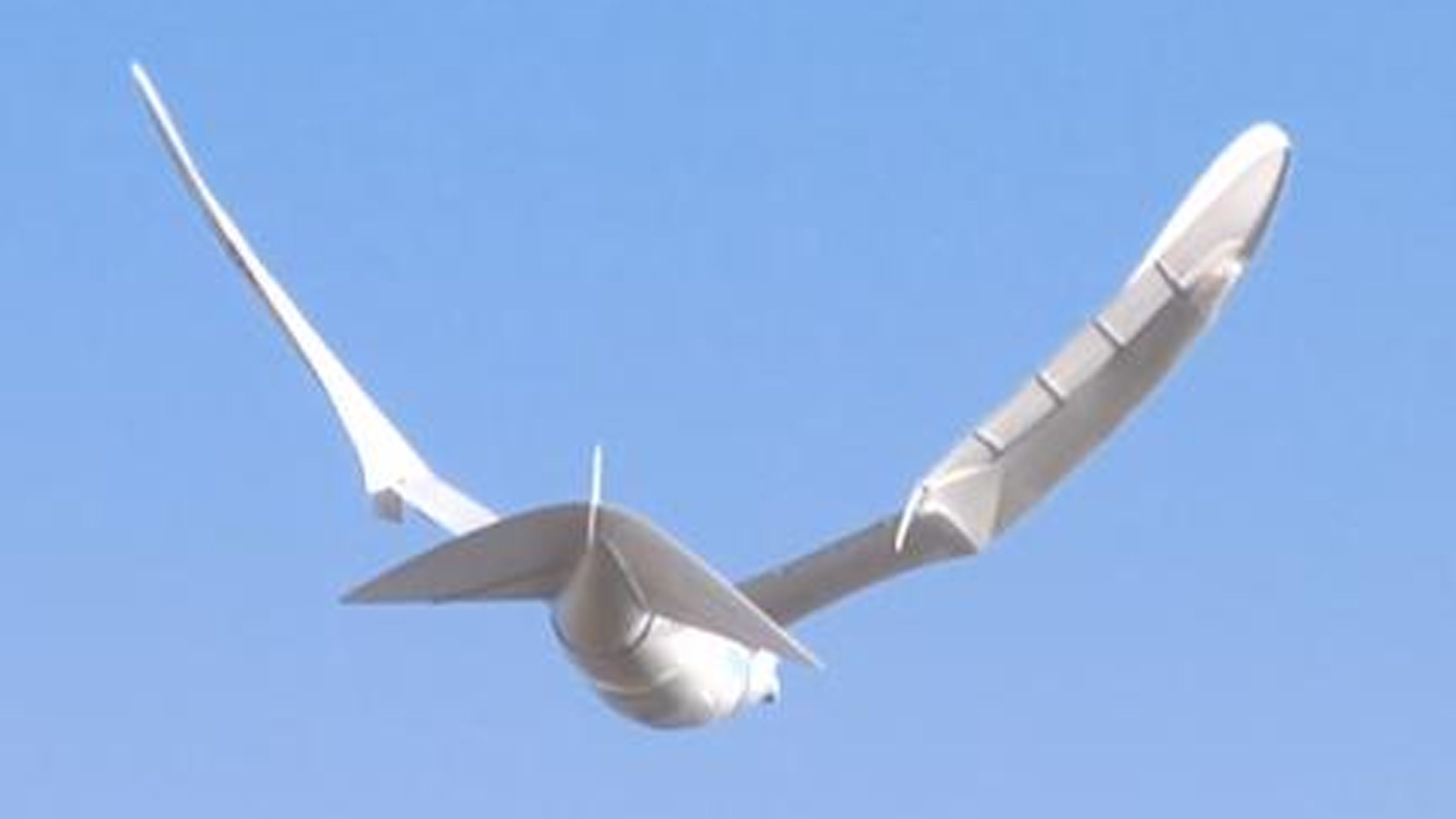 Nature And Bio-Inspired Robotics