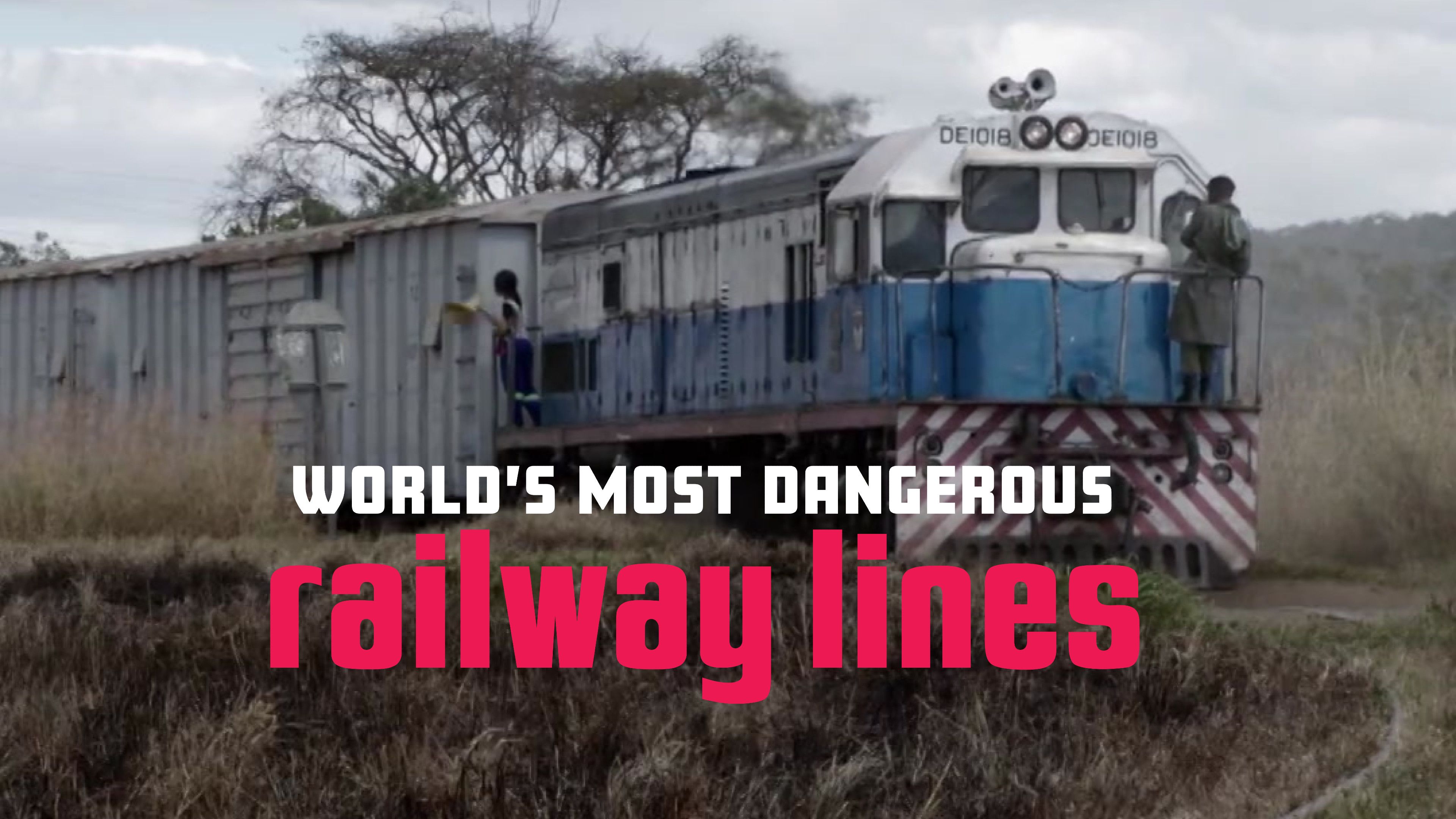 The Tazara
