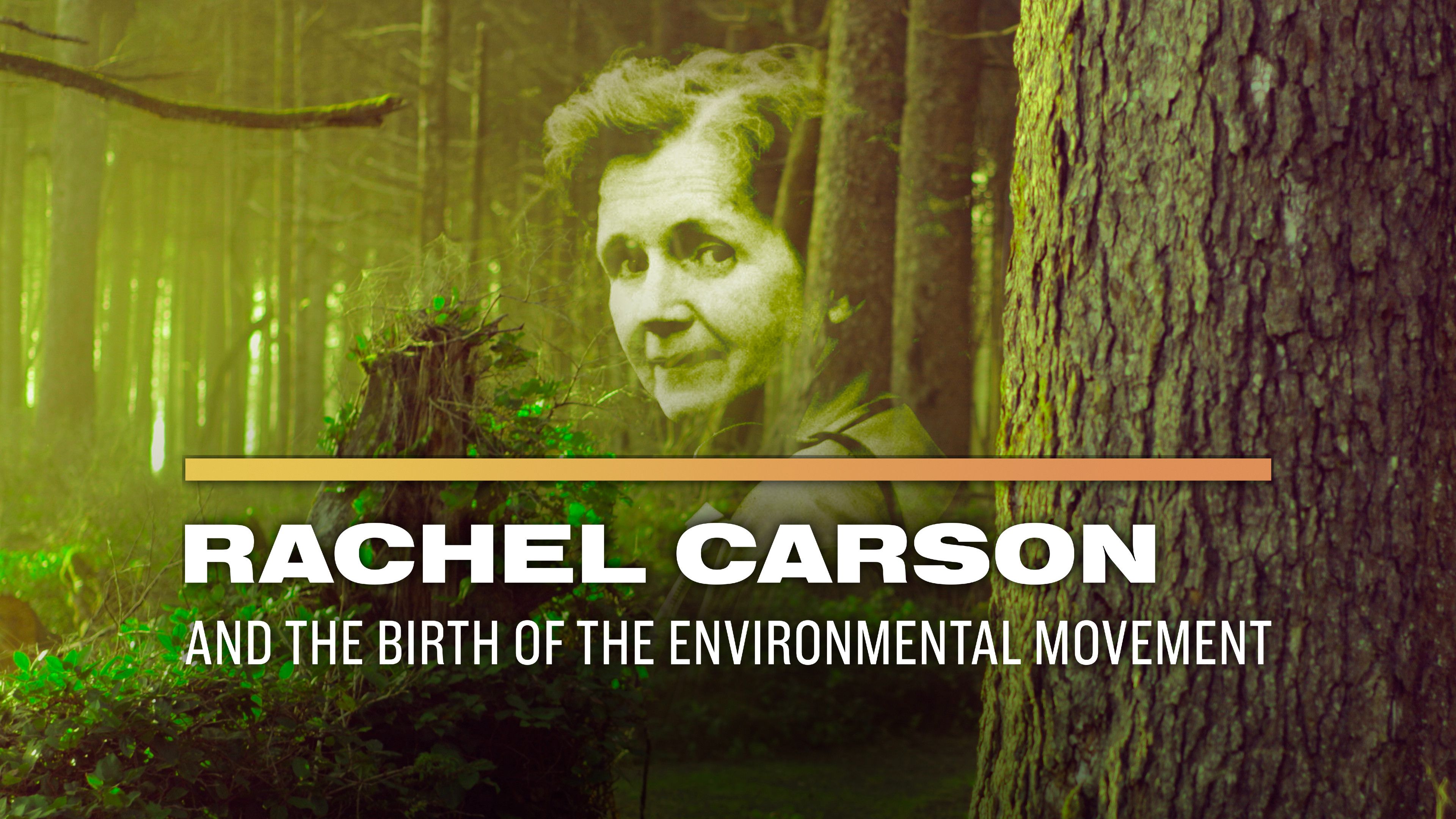 Rachel Carson and the Birth of the Environmental Movement