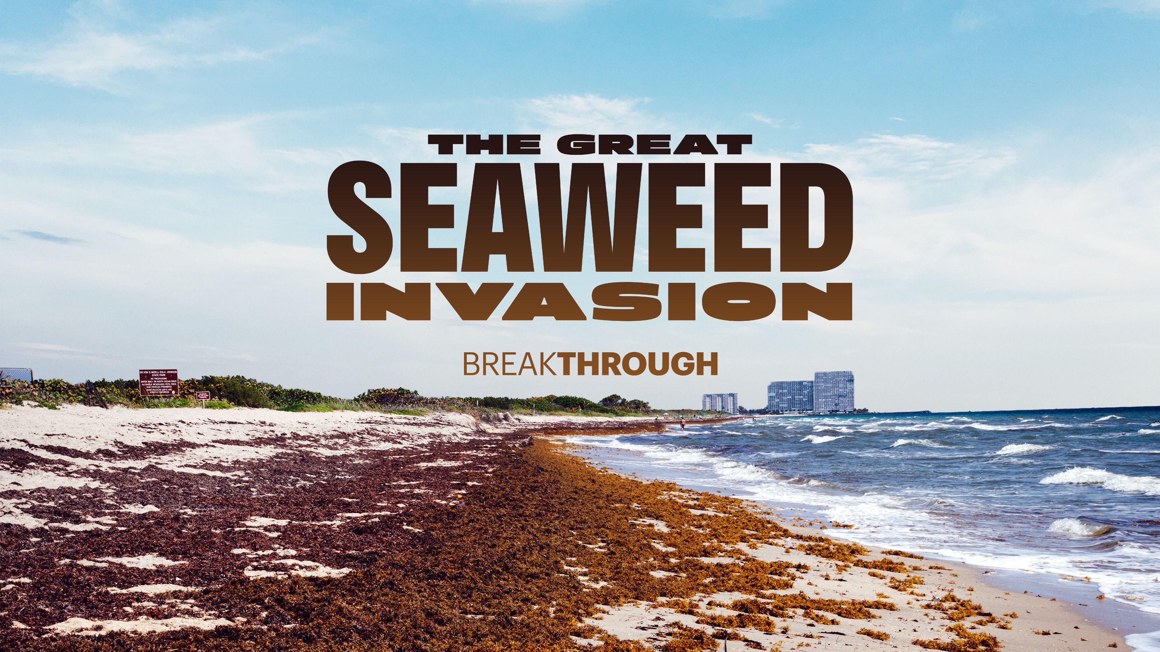The Great Seaweed Invasion