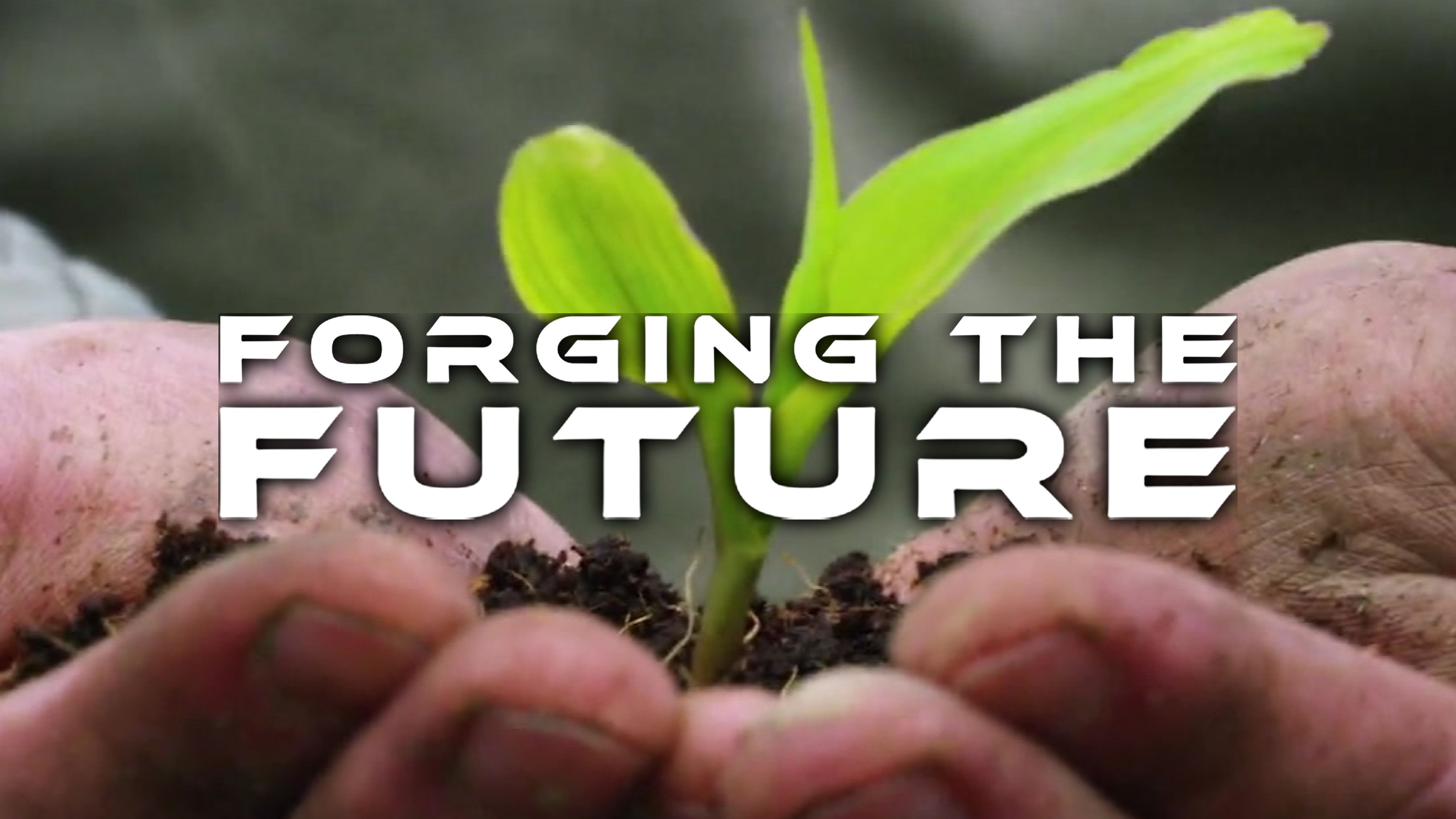 The Rise of Genetic Engineering