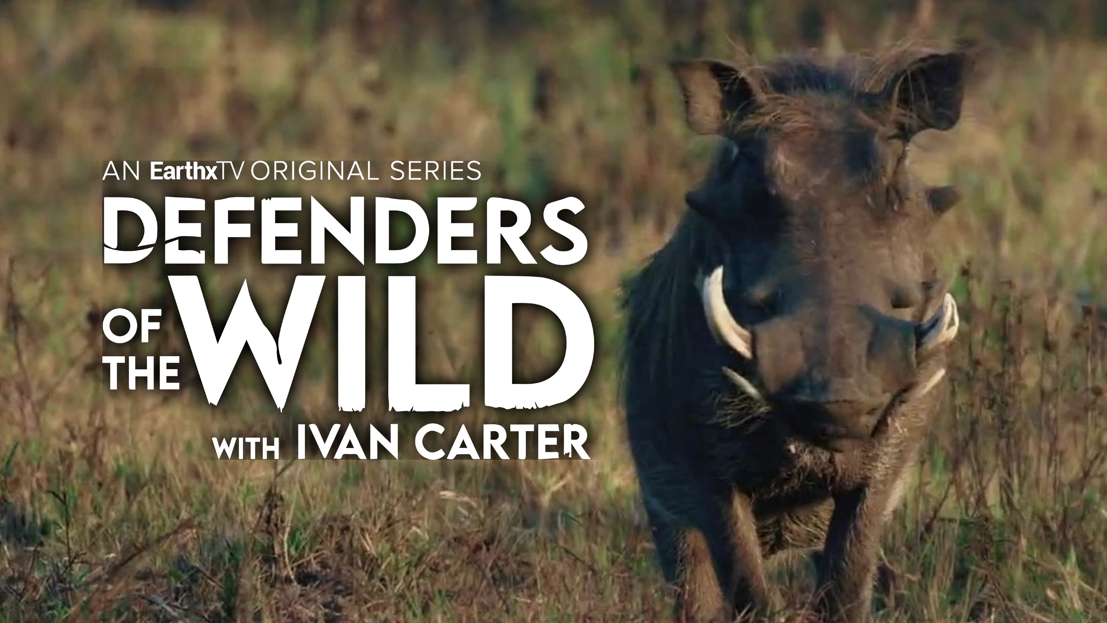 Delta Defenders: Poachers Beware!