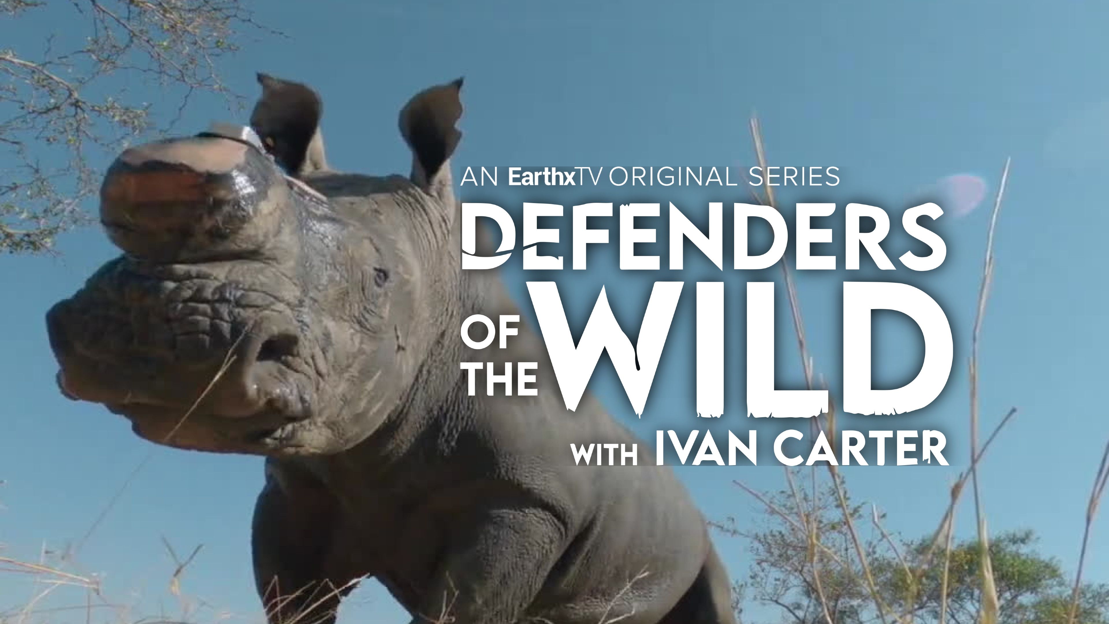 Rhinos: A Healthy Landscape