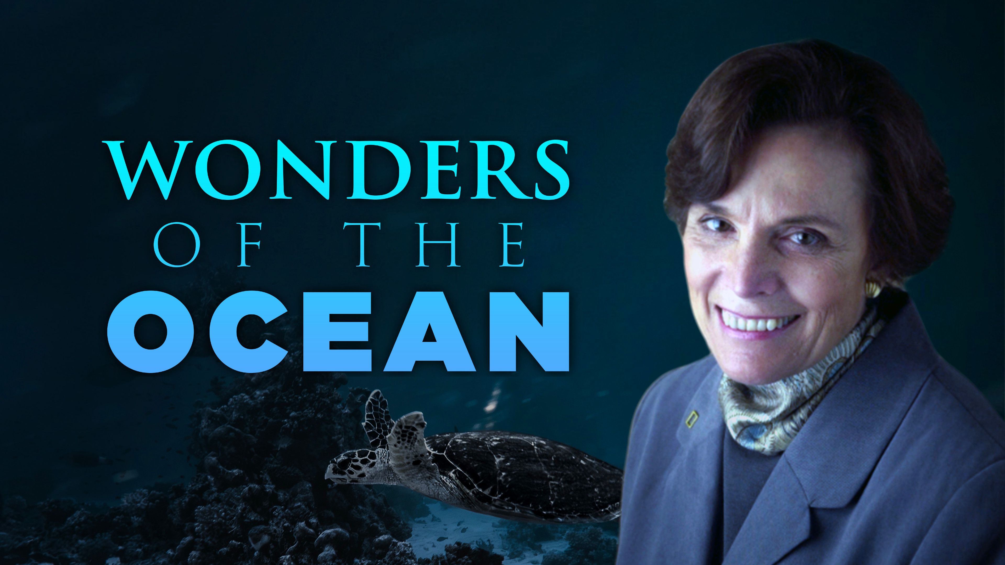 Wonders Of The Ocean