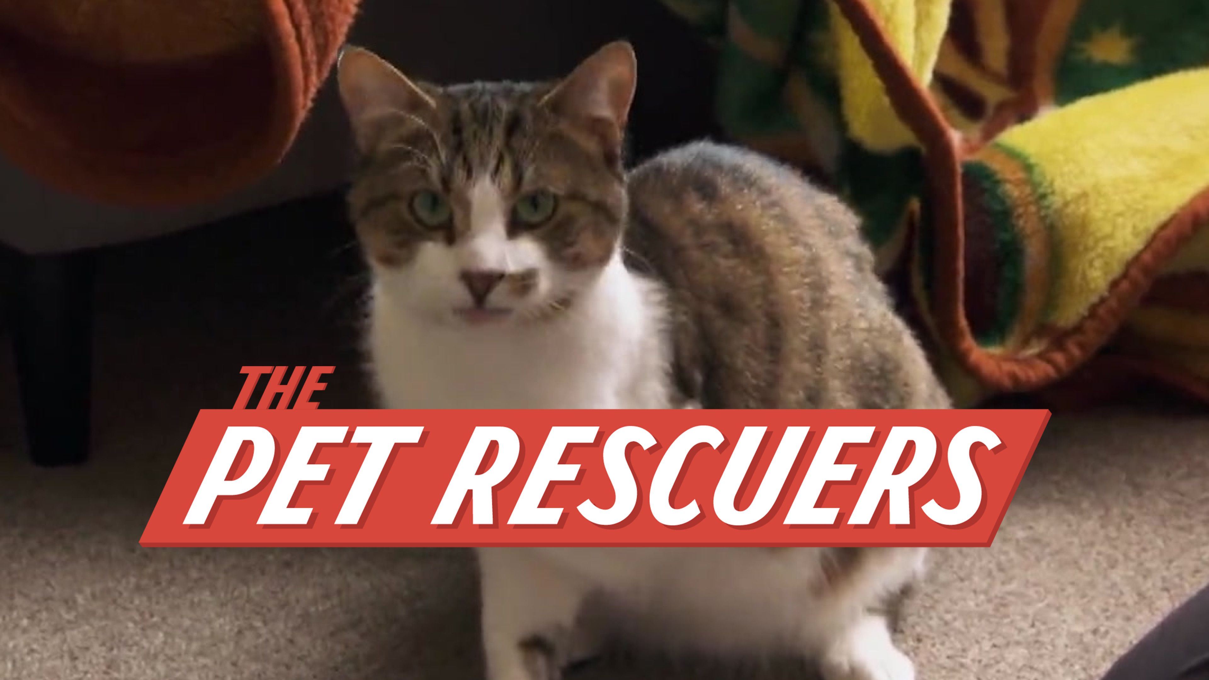 Rescue and Recovery