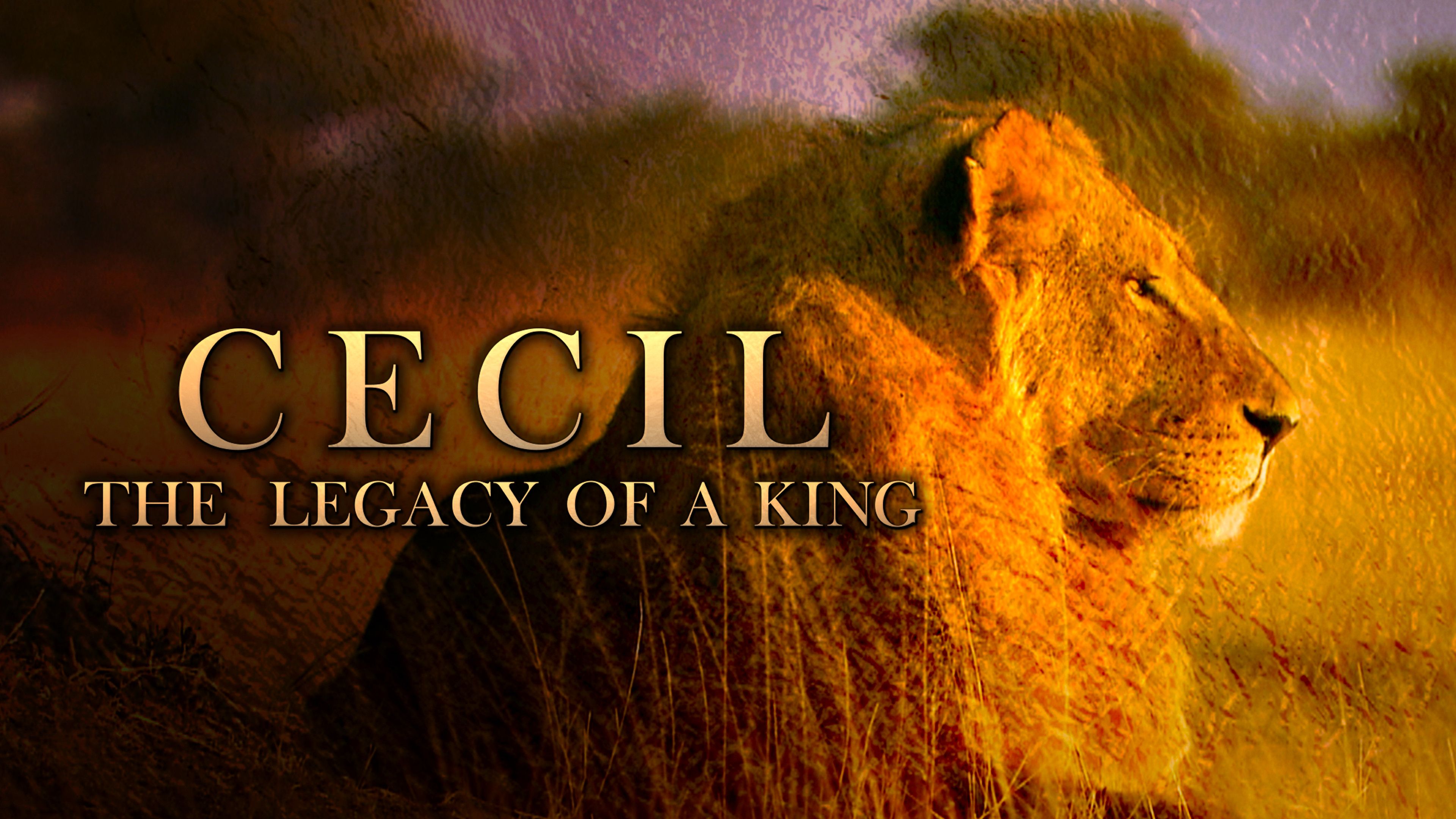 Cecil: The Legacy of a King