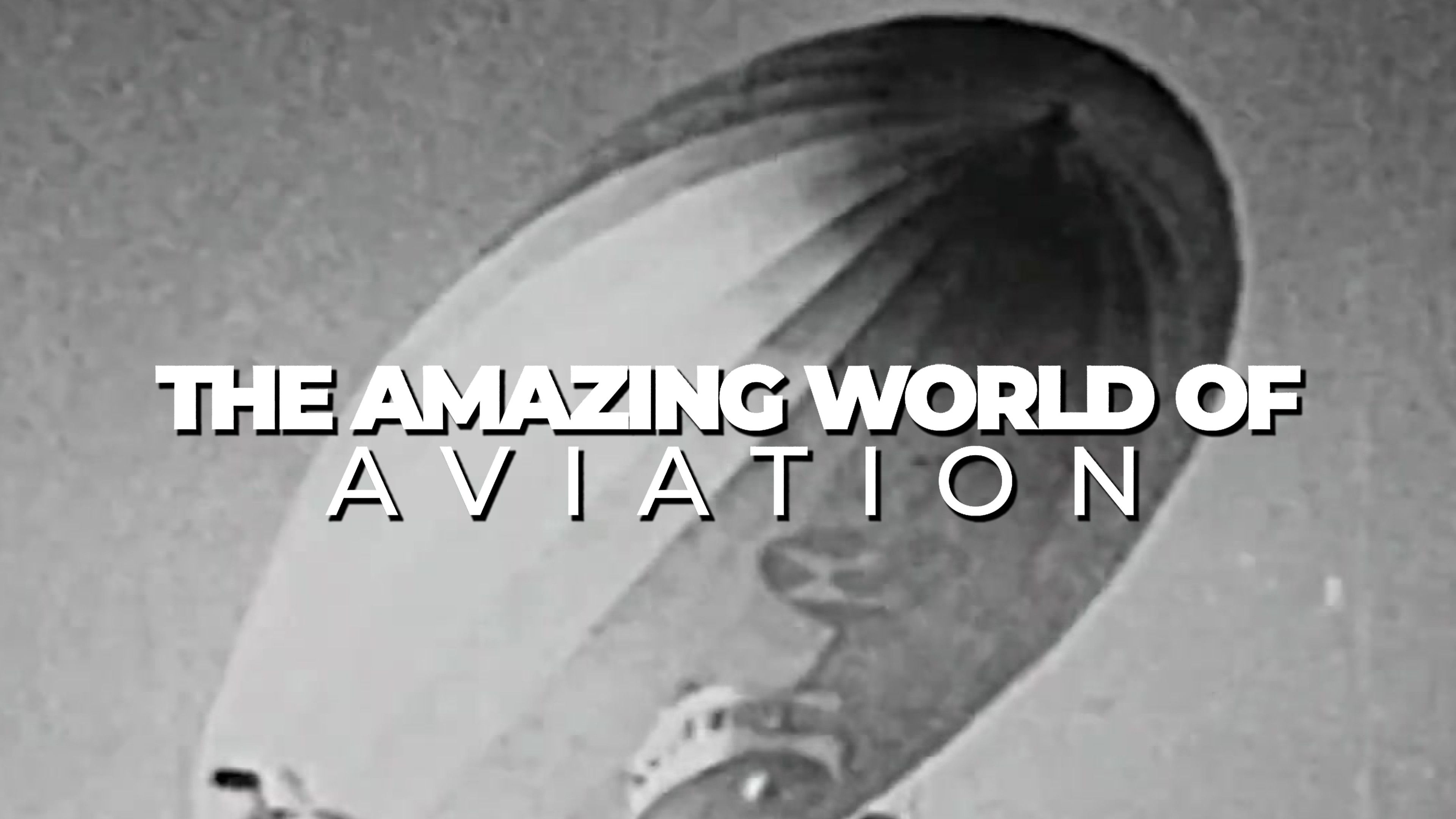 Aviation Goes Commercial