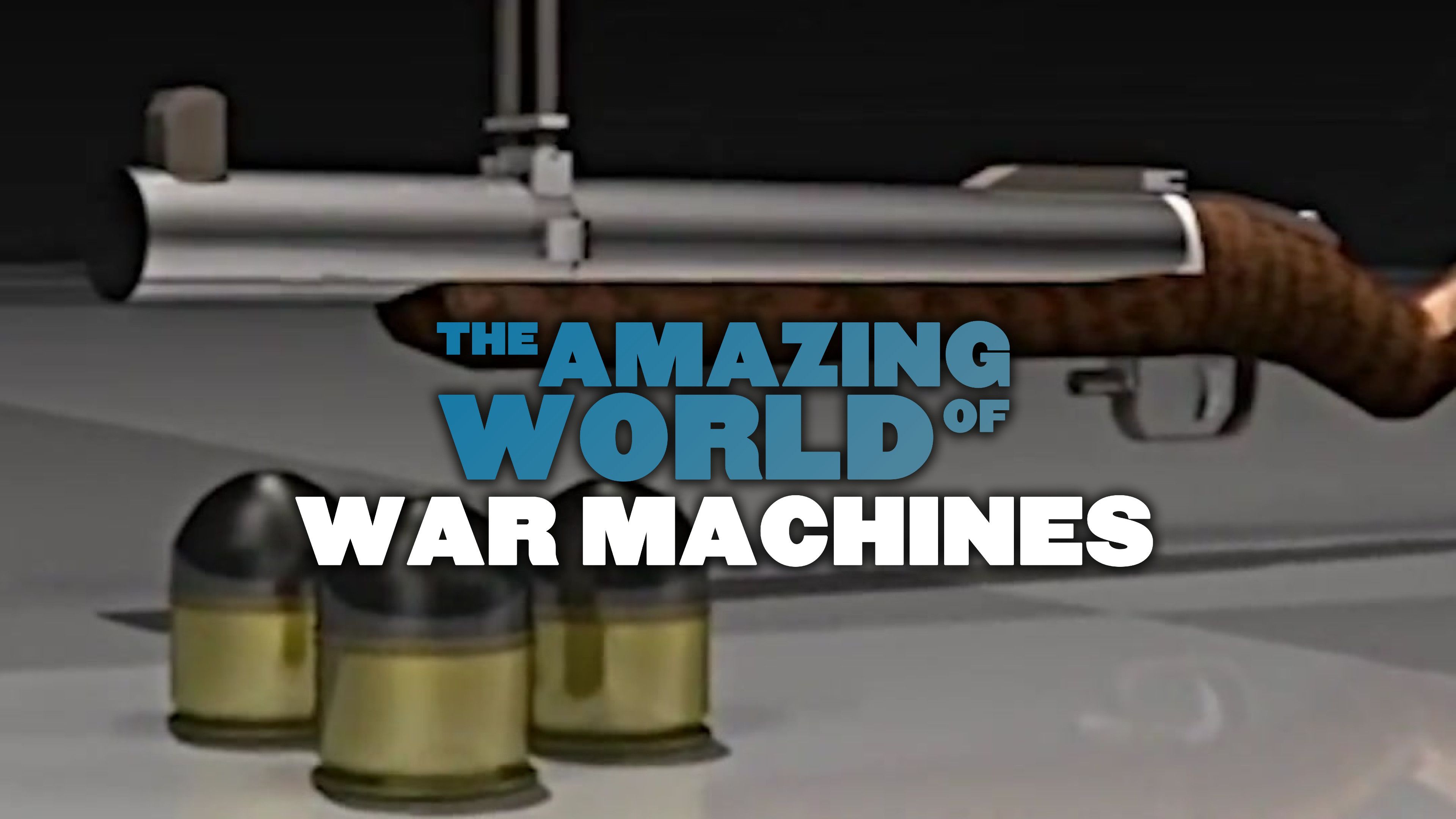 Rifles & Machine Guns