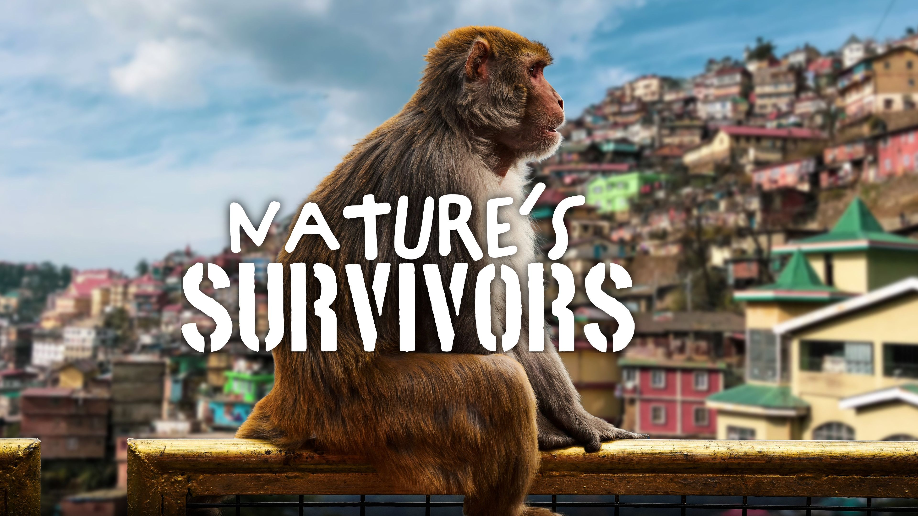 Nature’s Survivors