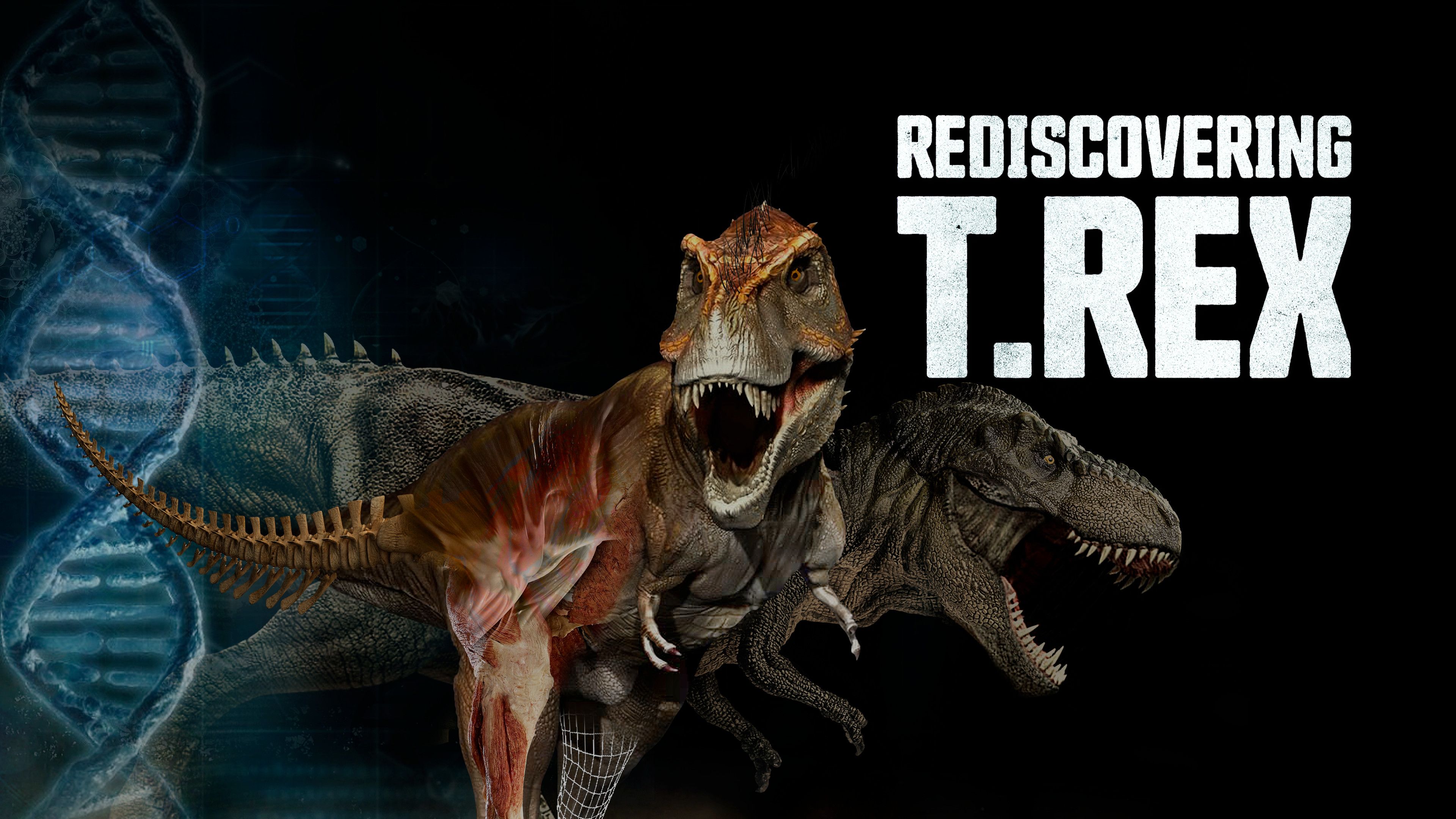 Rediscovering T.REX