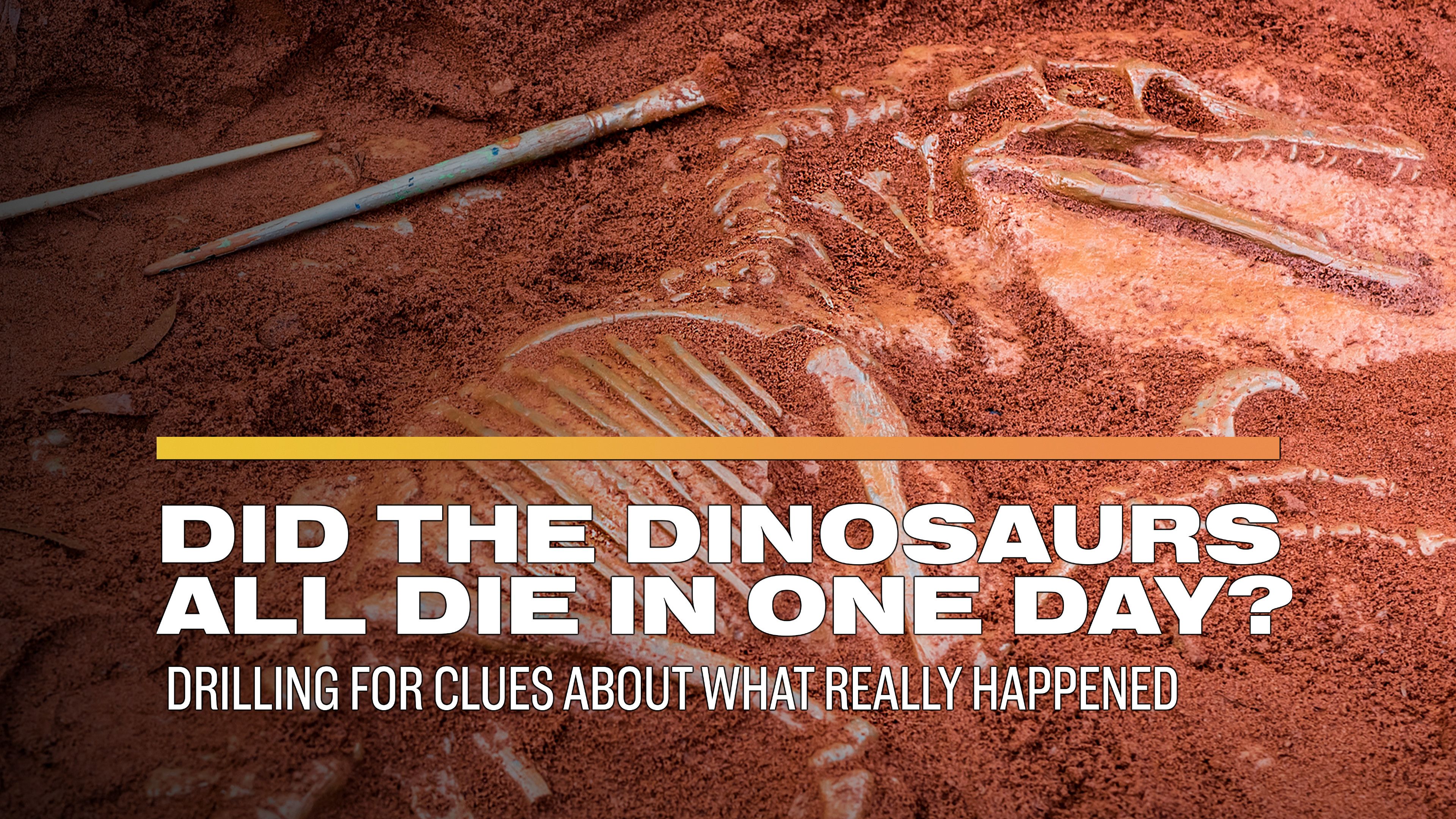 Did the Dinosaurs All Die in One Day? Drilling for Clues About What Really Happened