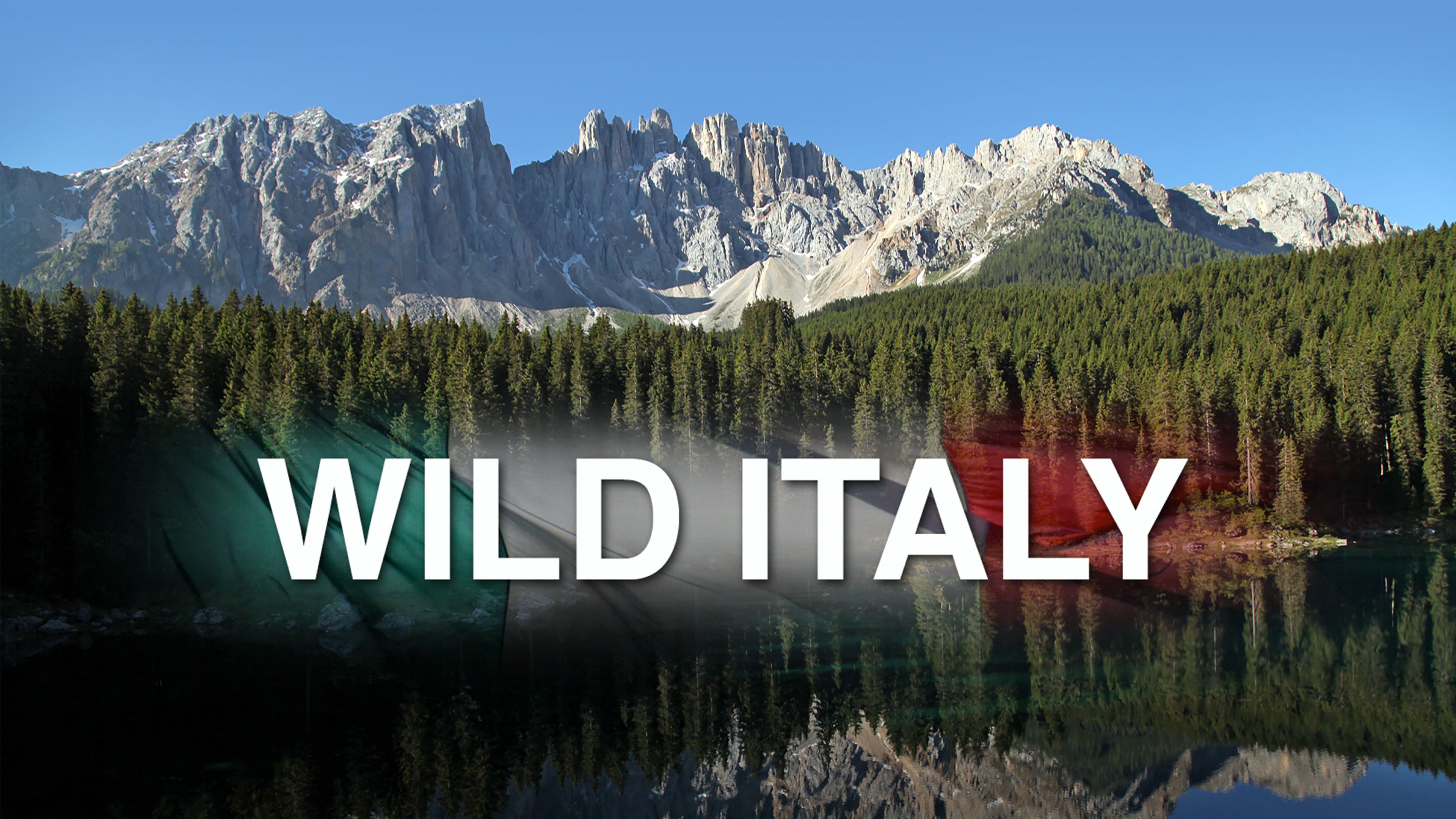 Хищники дикой Италии. Lindsey Wild Italian. Wild Italian Taylor.