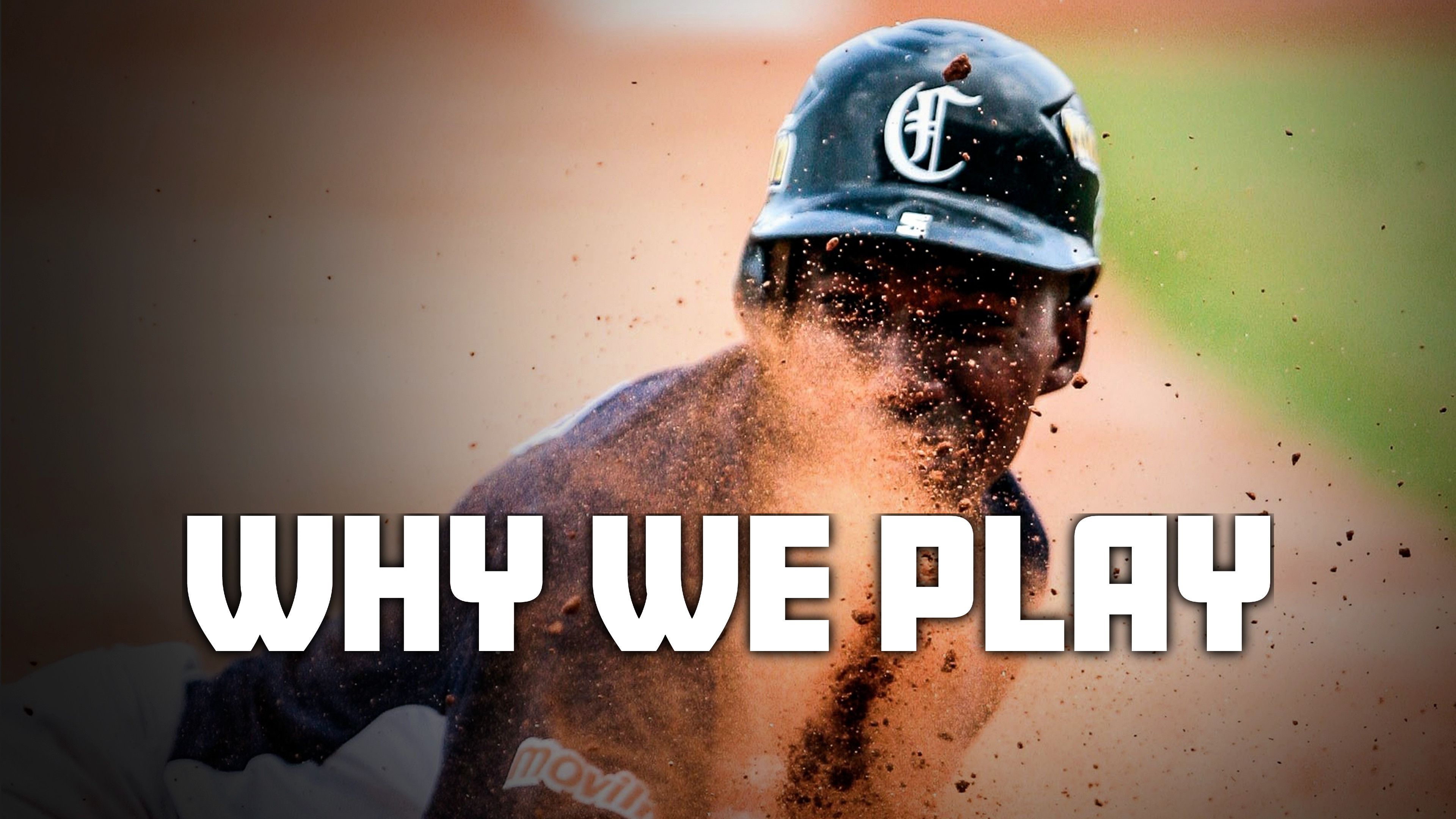Why We Play