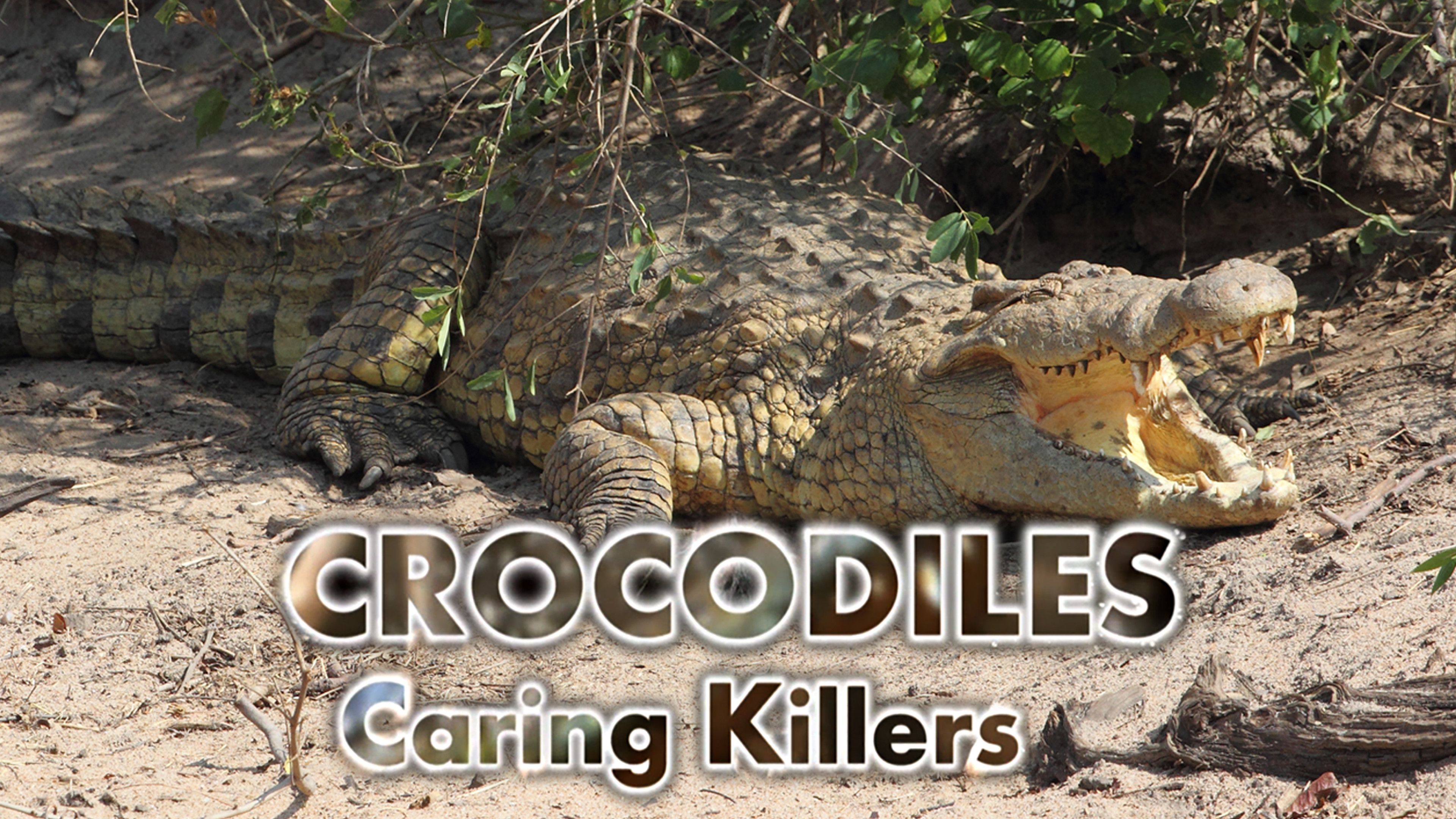 Crocodiles: Caring Killers