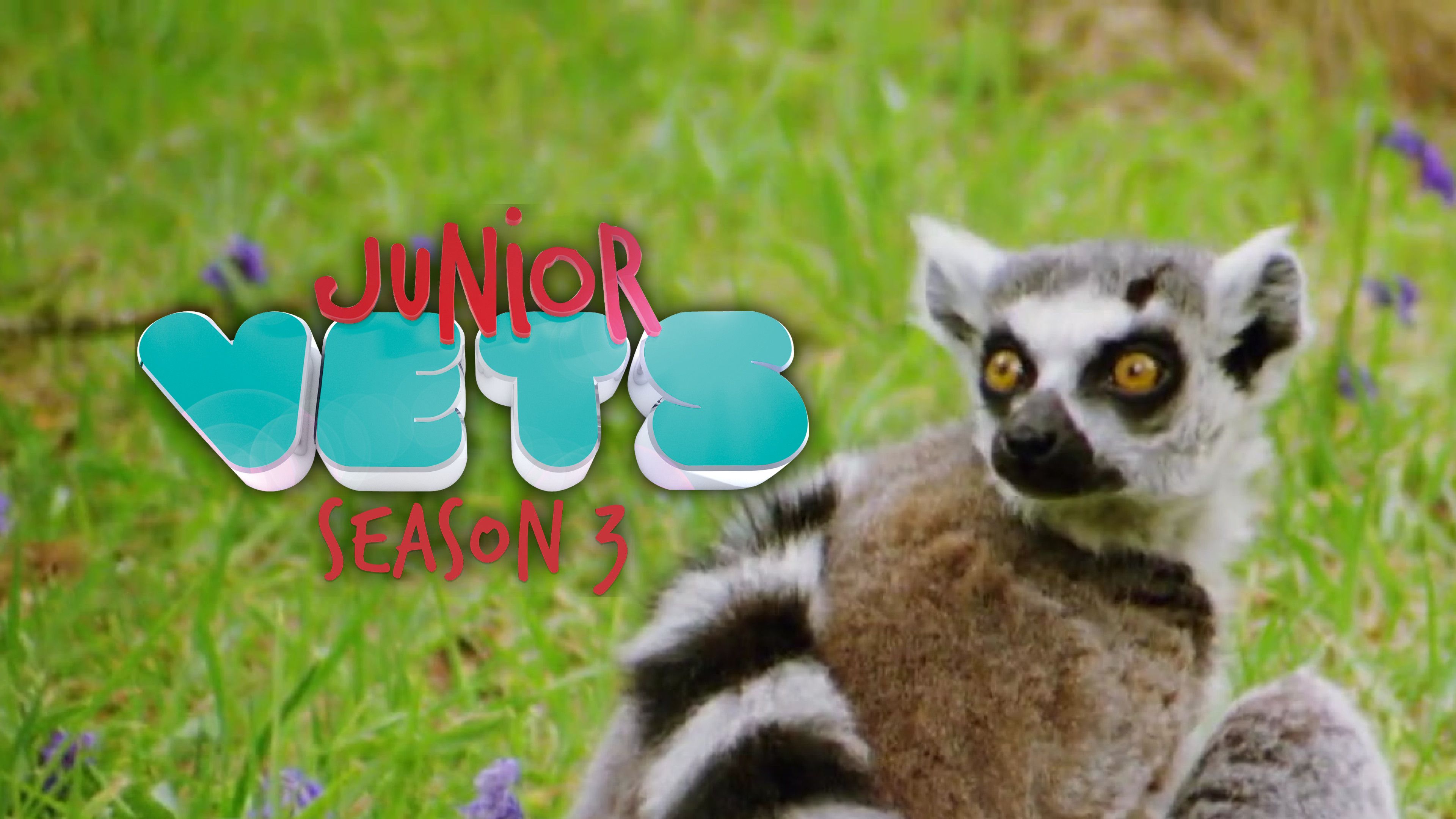 Baby Badgers
