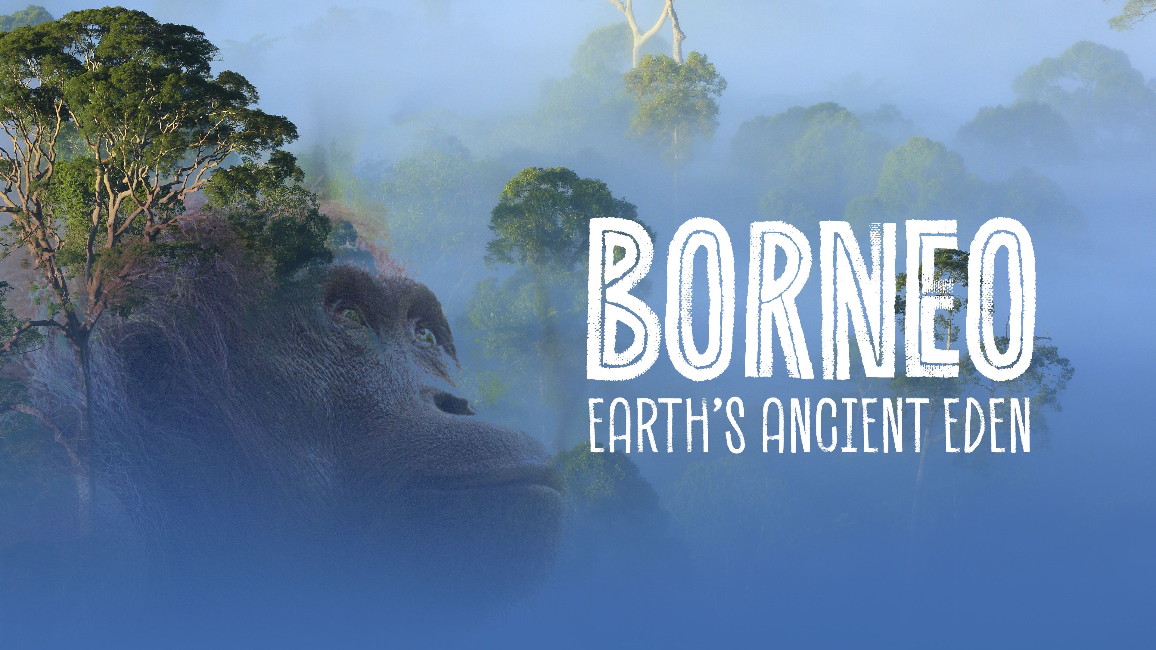 Borneo: Earth's Ancient Eden