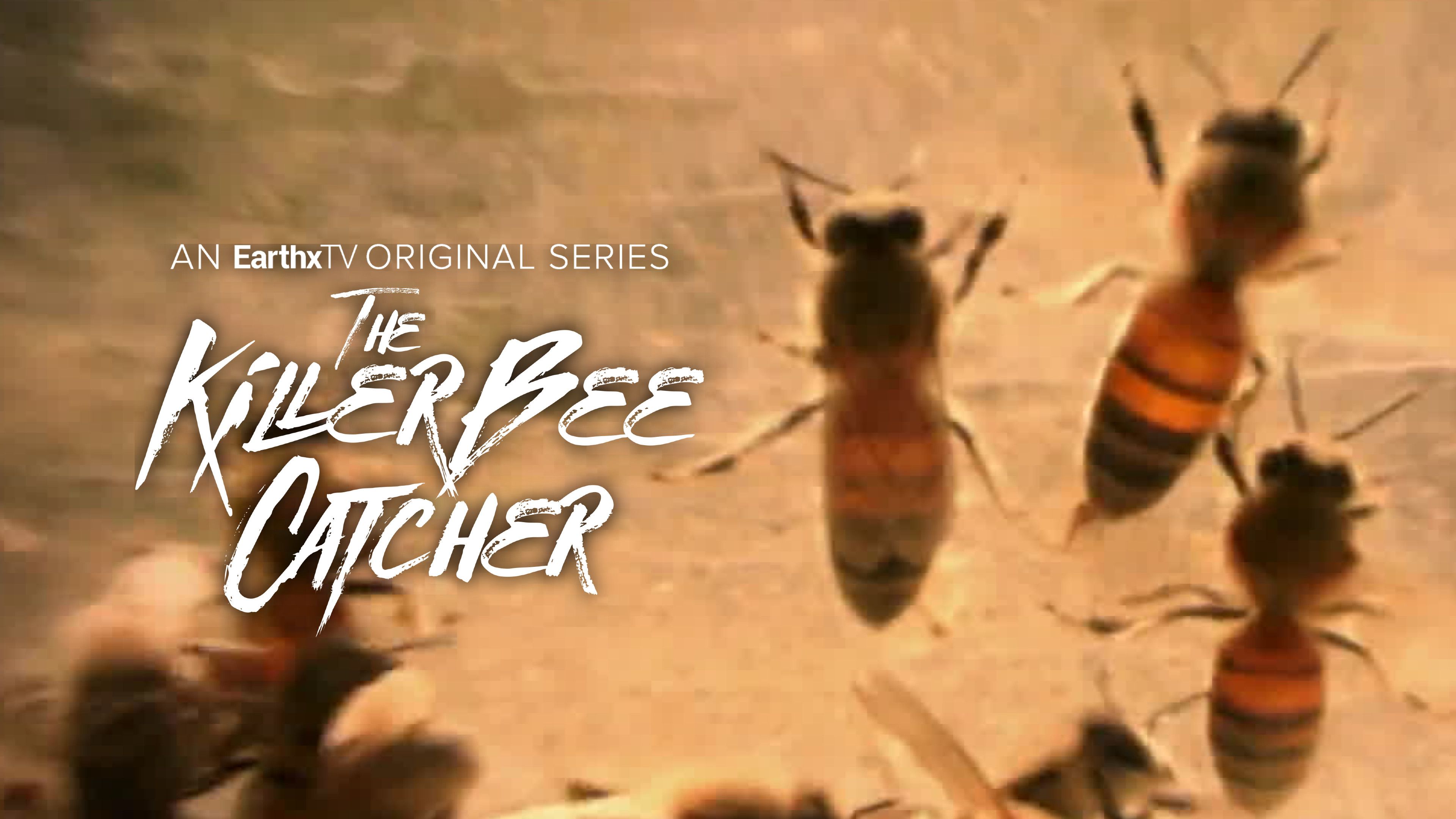 Showdown at Killer Bee Ranch: Part 1