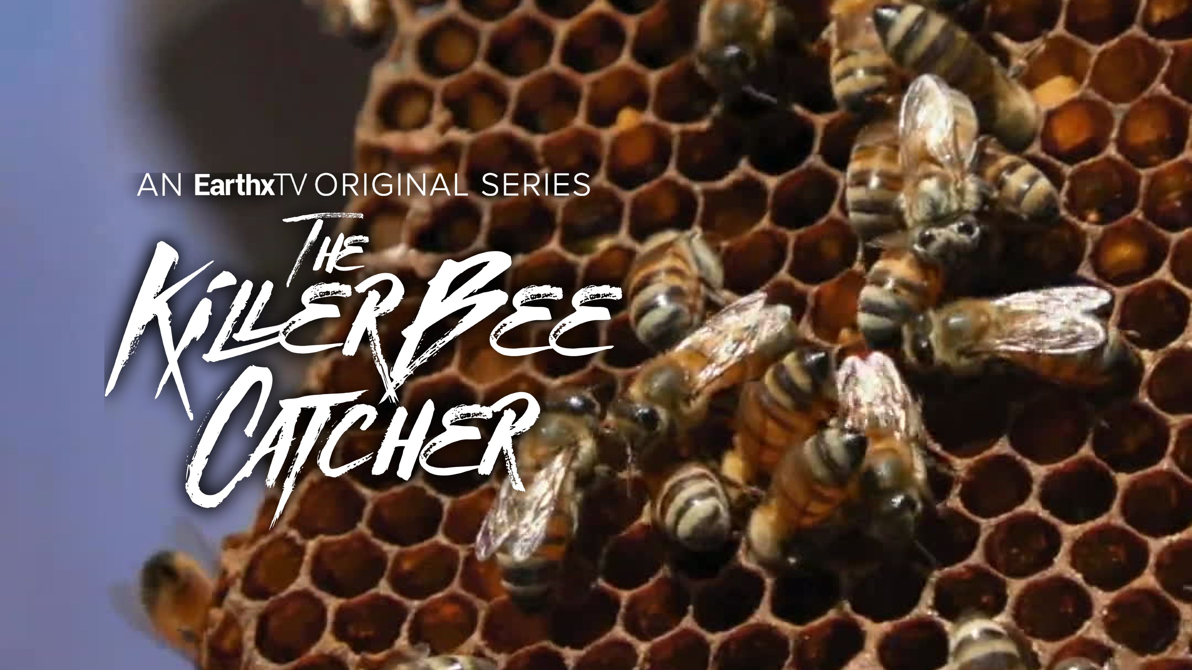 Showdown at Killer Bee Ranch: Part 2