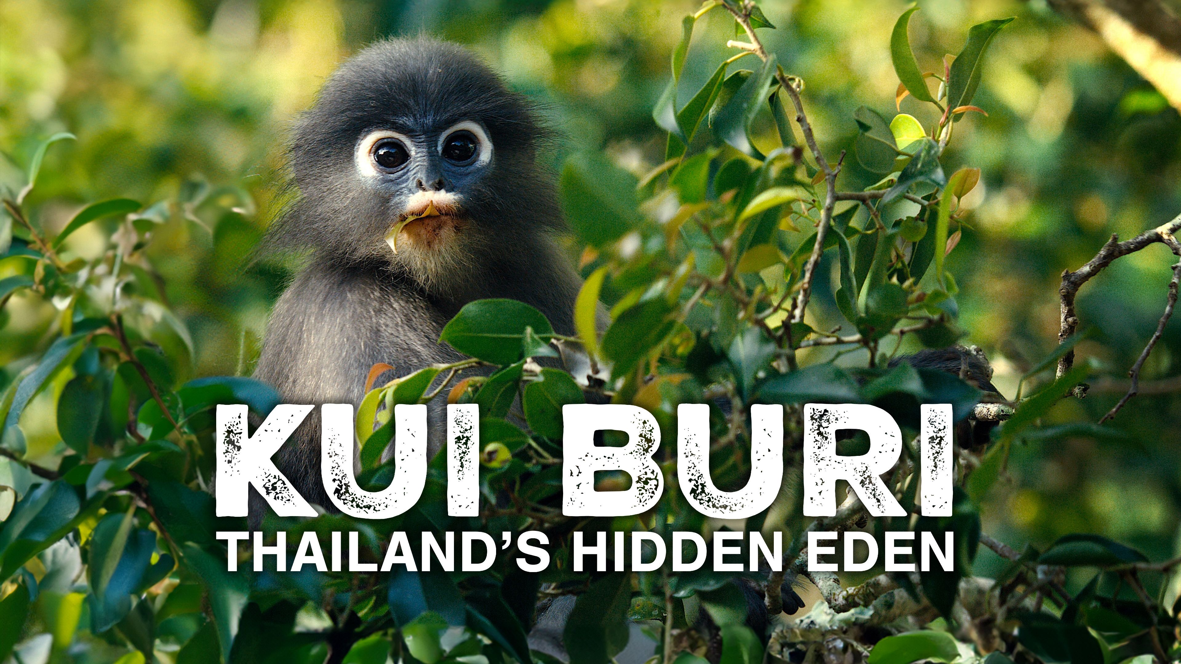 Kui Buri: Thailand's Hidden Eden