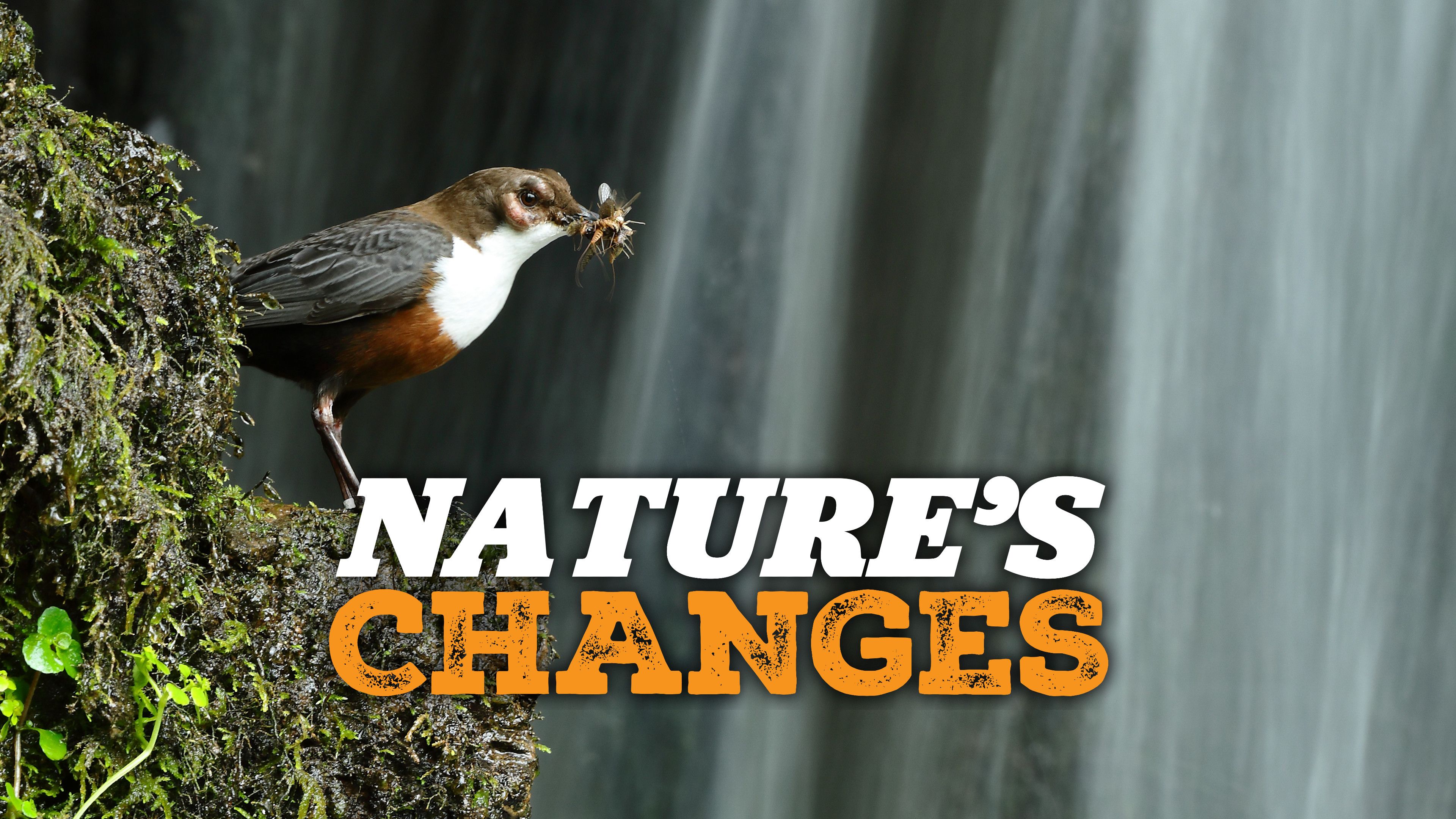 Nature's Changes